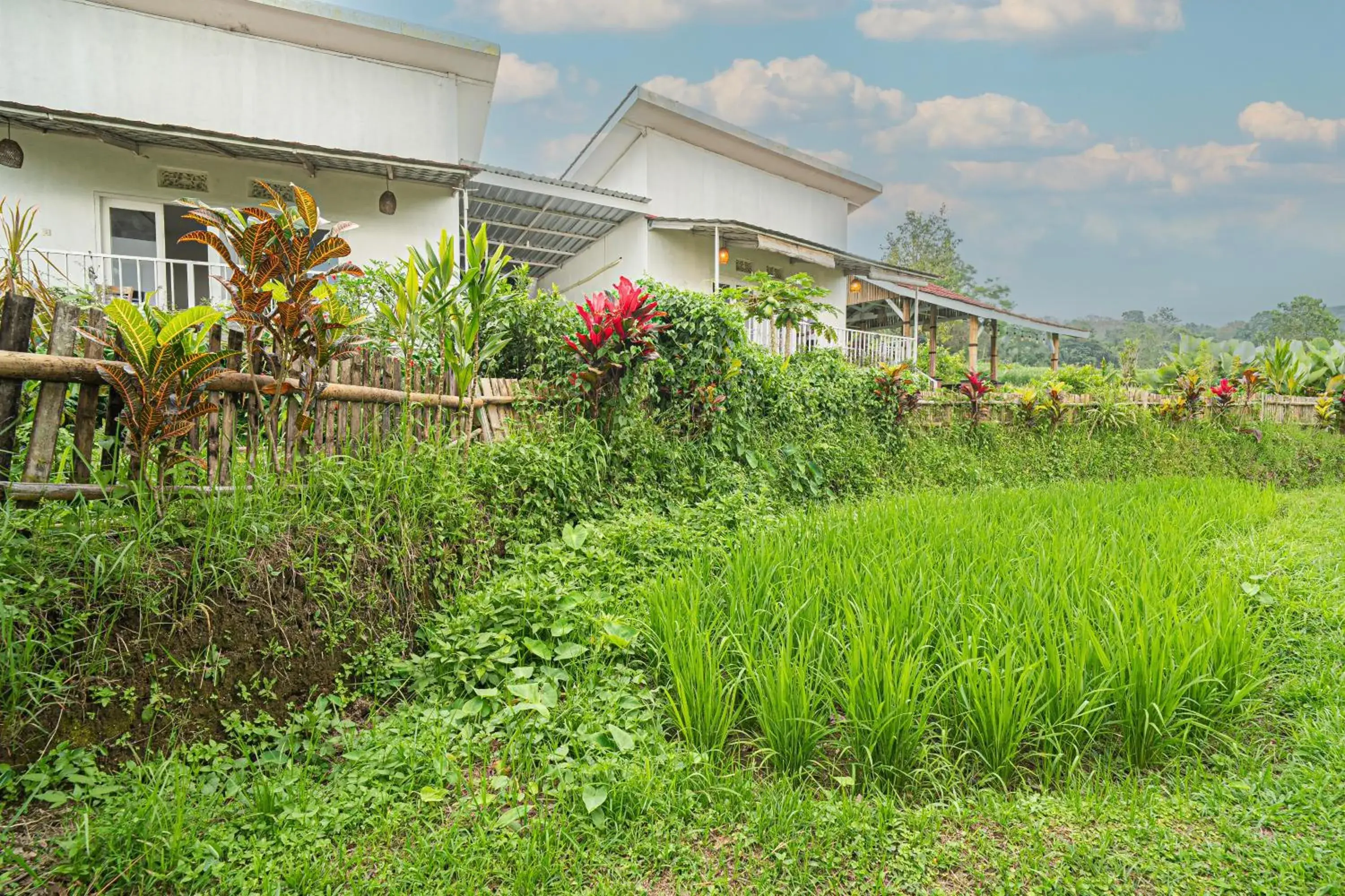 Property building in Jatiluwih Santya Loka Lodge & Twin Waterfall Managed by Manara Property building in Jatiluwih Santya Loka Lodge & Twin Waterfall Managed by Manara