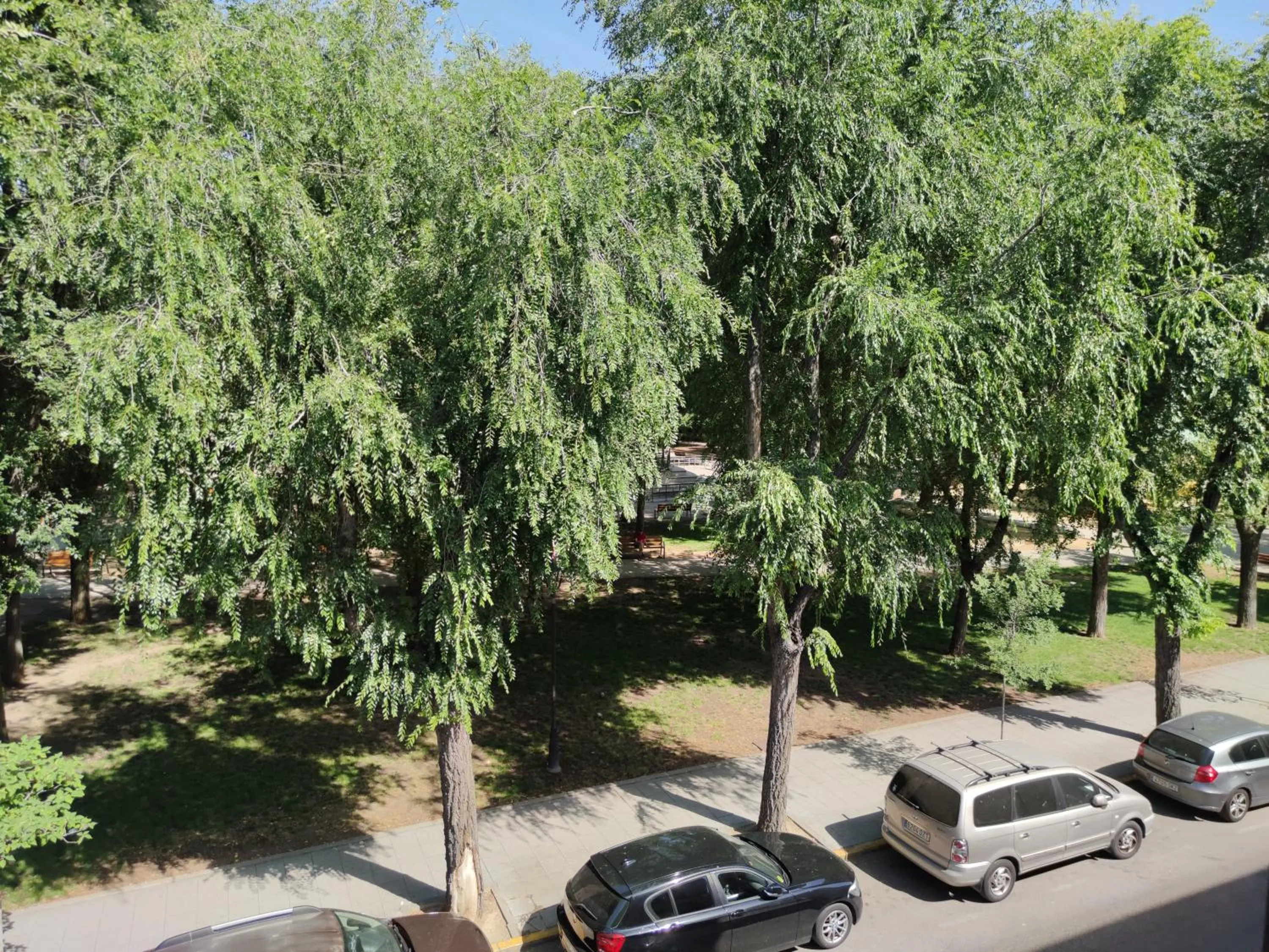 Garden in FamilyHostelPinto