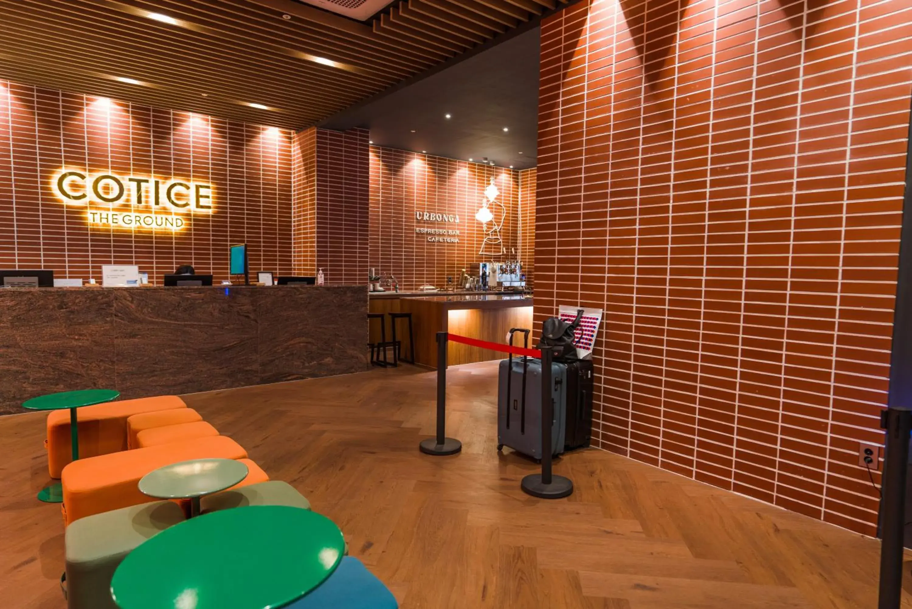 Cotice The Bridge Cotice The Bridge