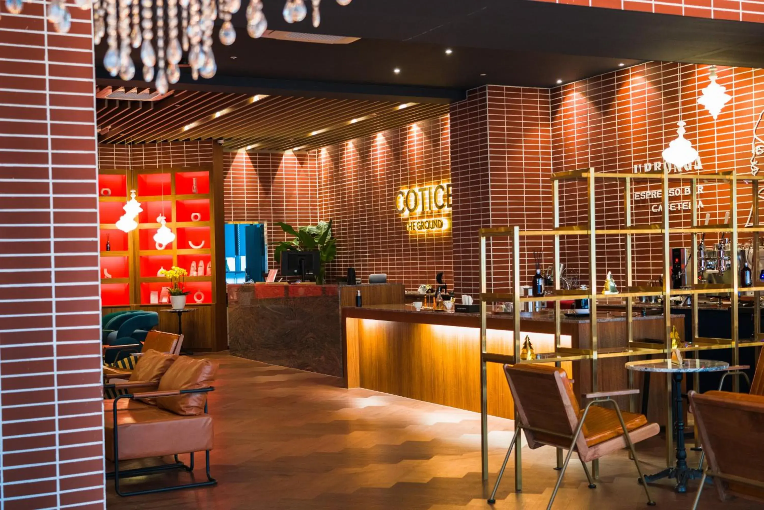 Cotice The Bridge Cotice The Bridge