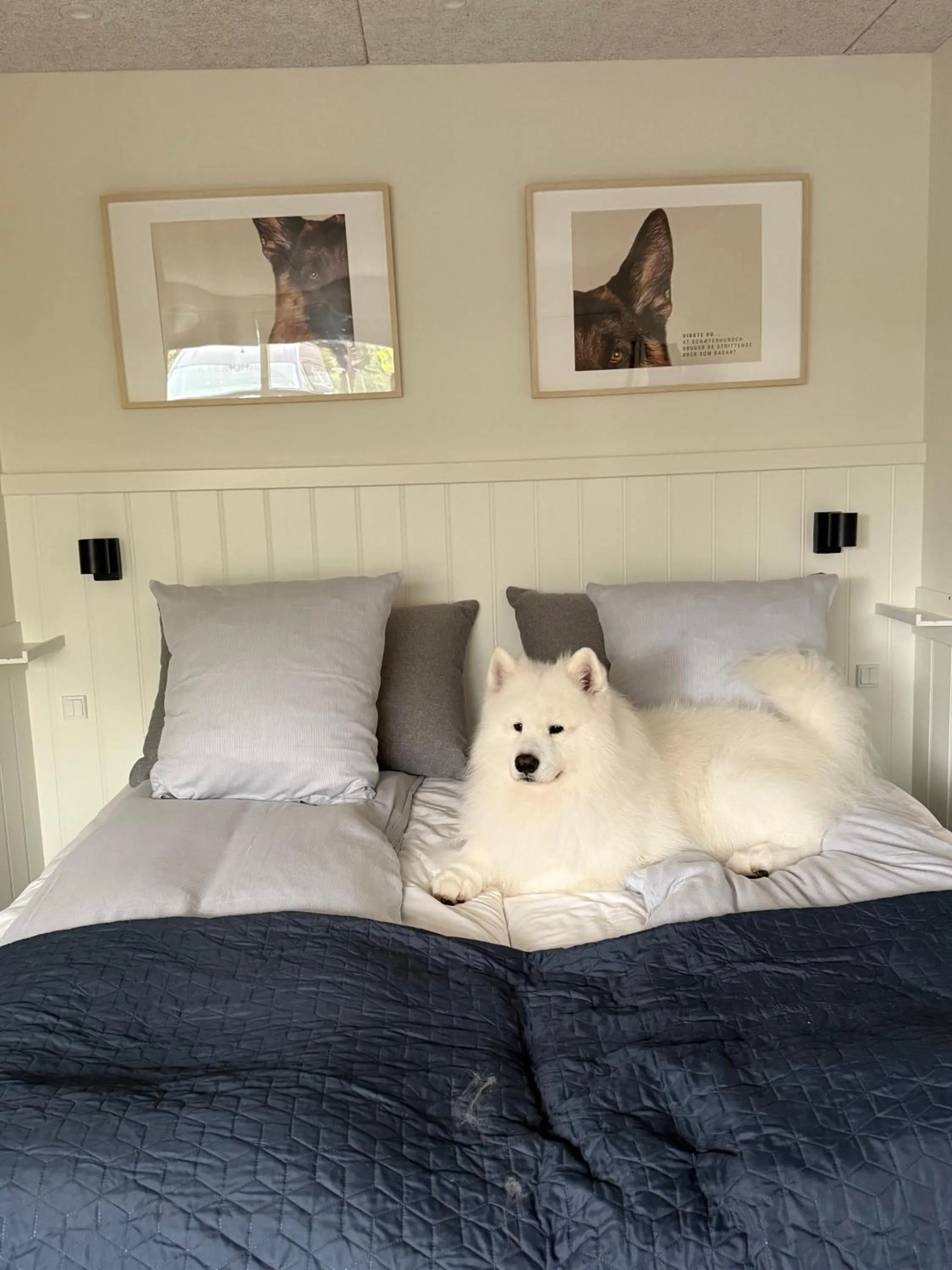 pet friendly, Bed in Rold Gl Kro