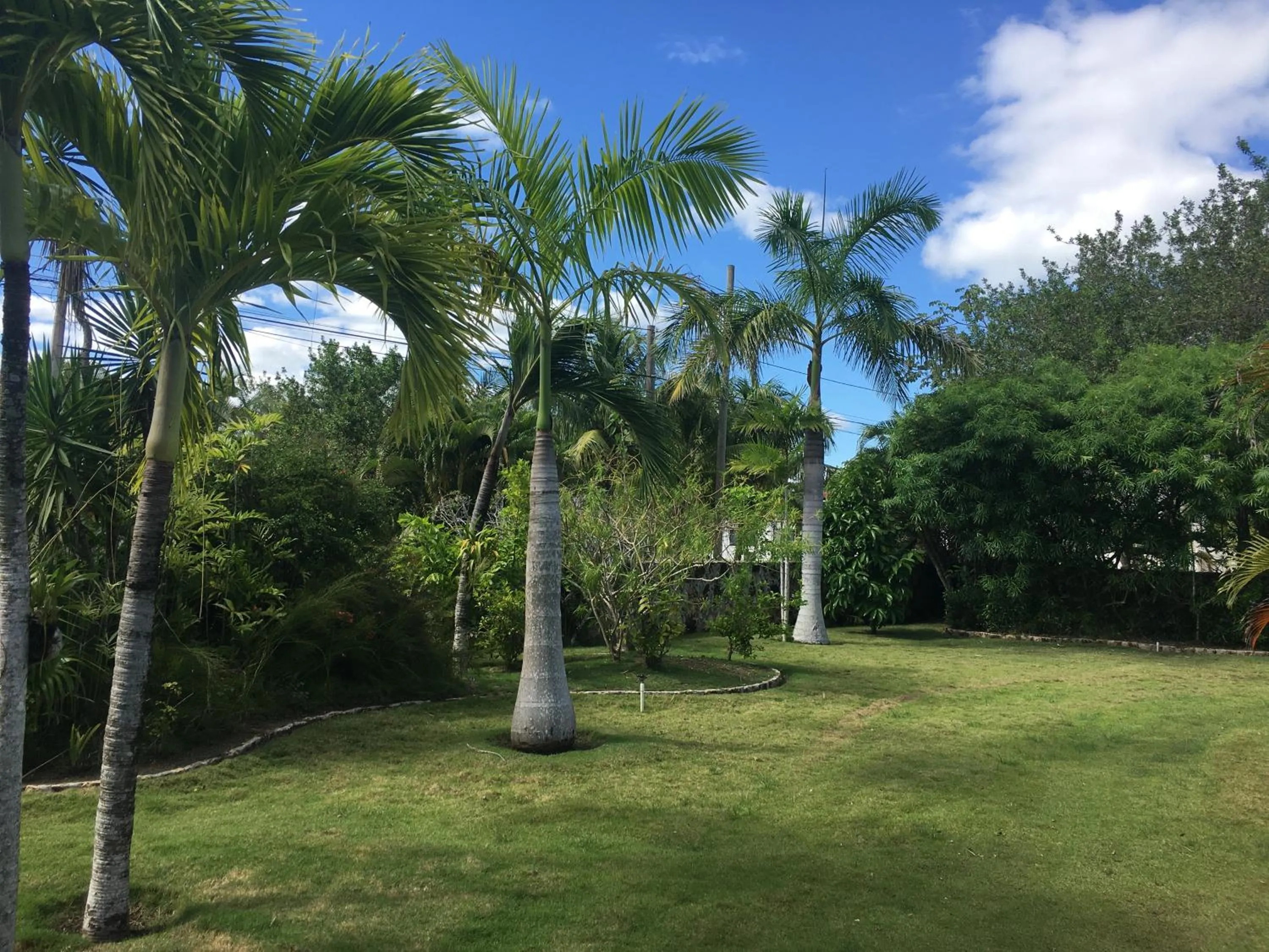 Almond Tree Hotel Resort