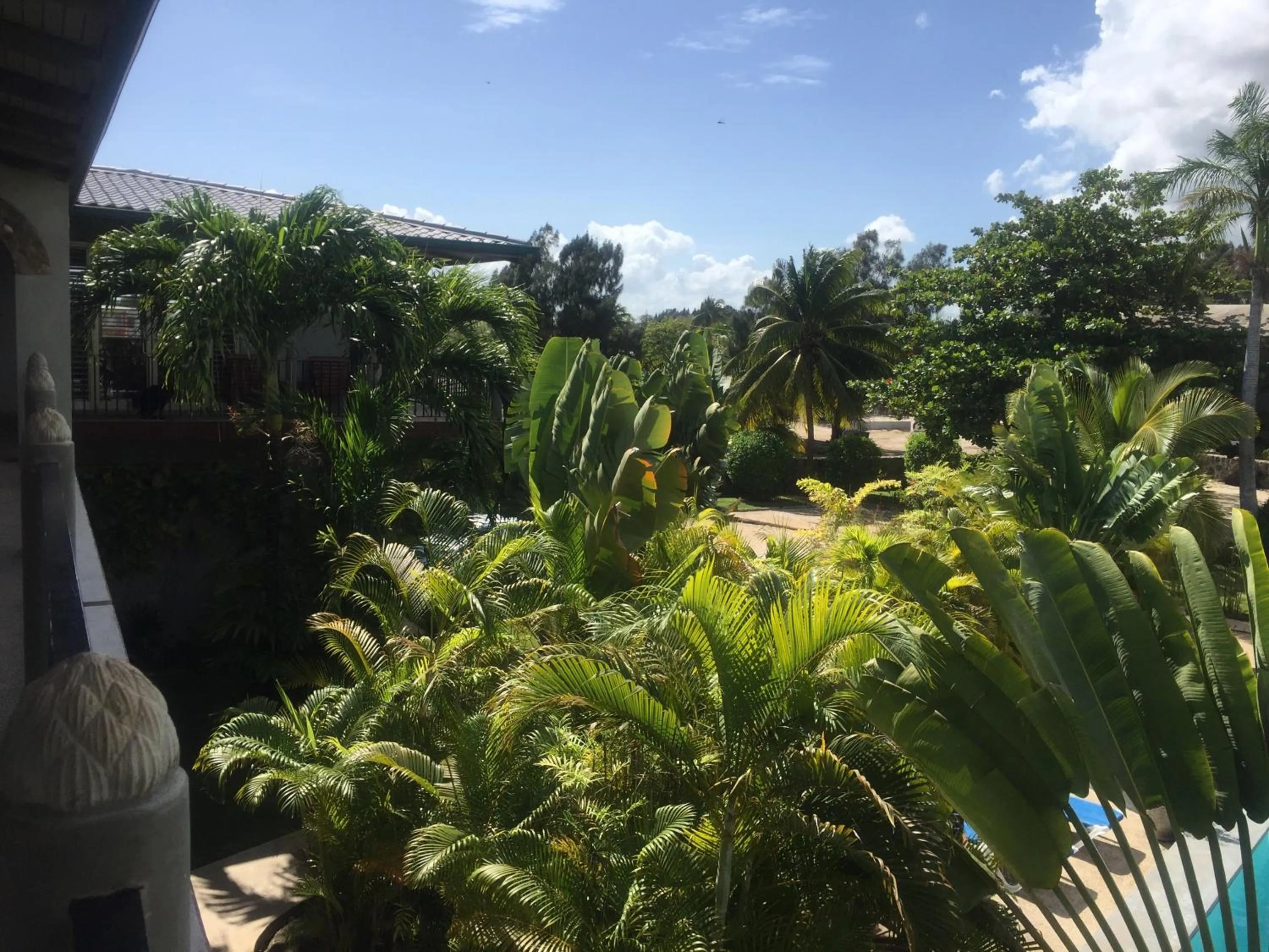 Garden view in Almond Tree Hotel Resort