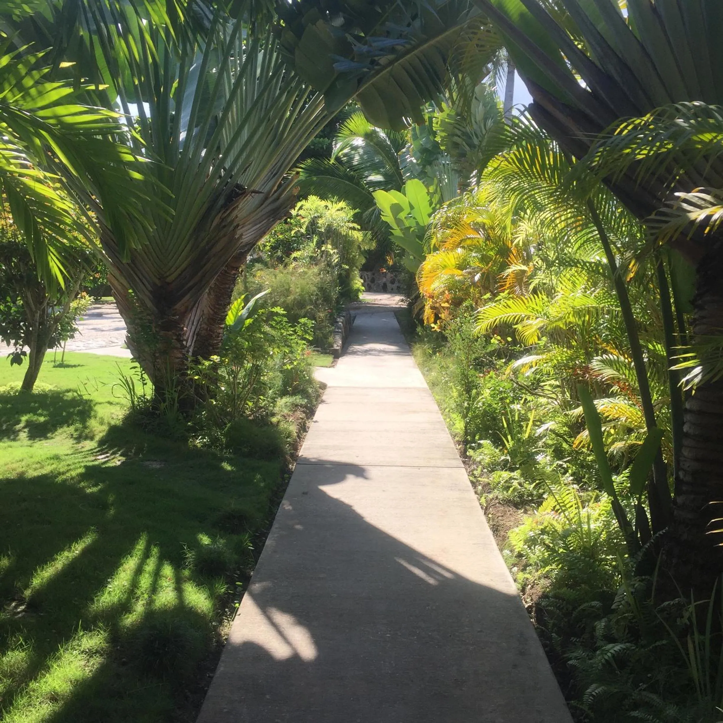 Facade/entrance in Almond Tree Hotel Resort