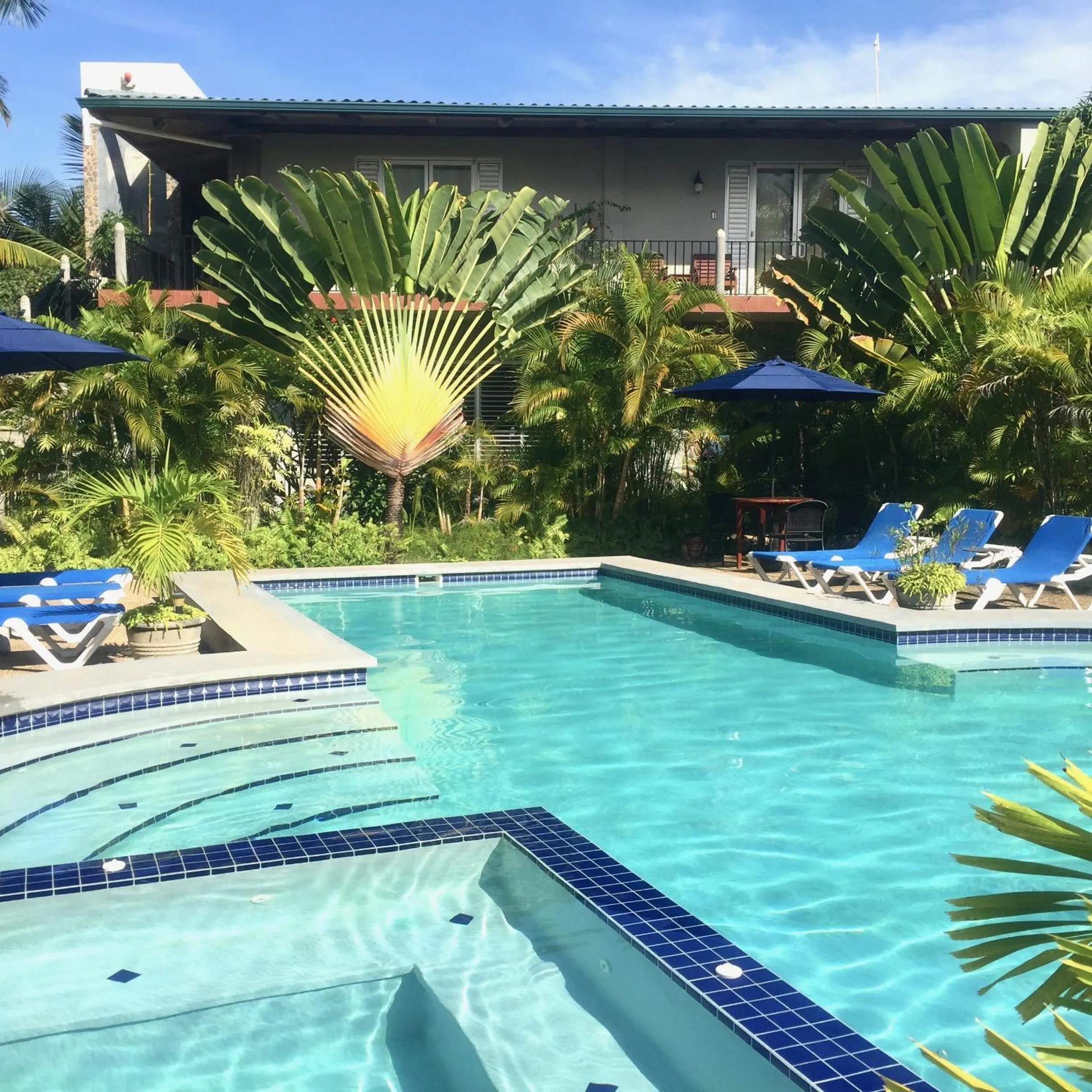 Swimming pool in Almond Tree Hotel Resort