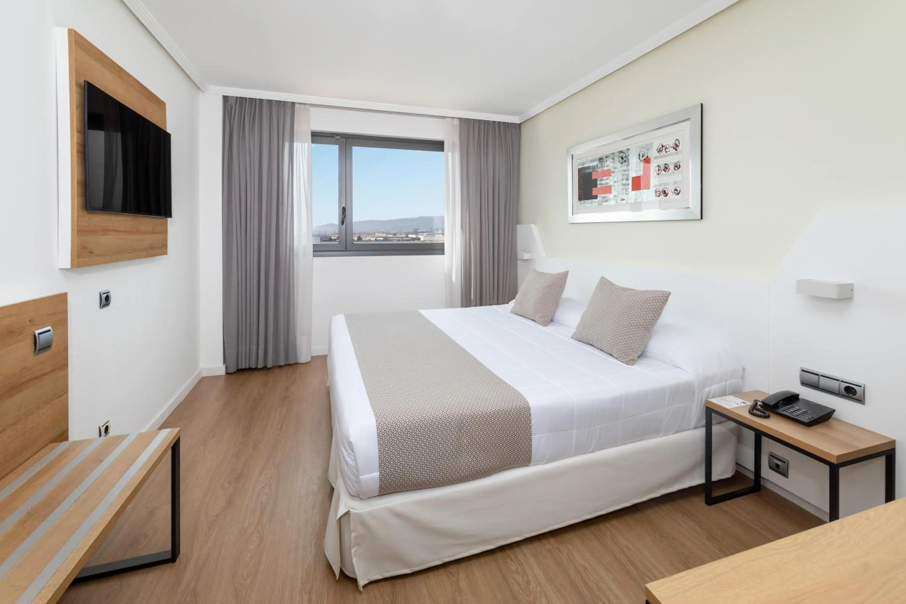 Photo of the whole room, Bed in Alexandre FrontAir Congress