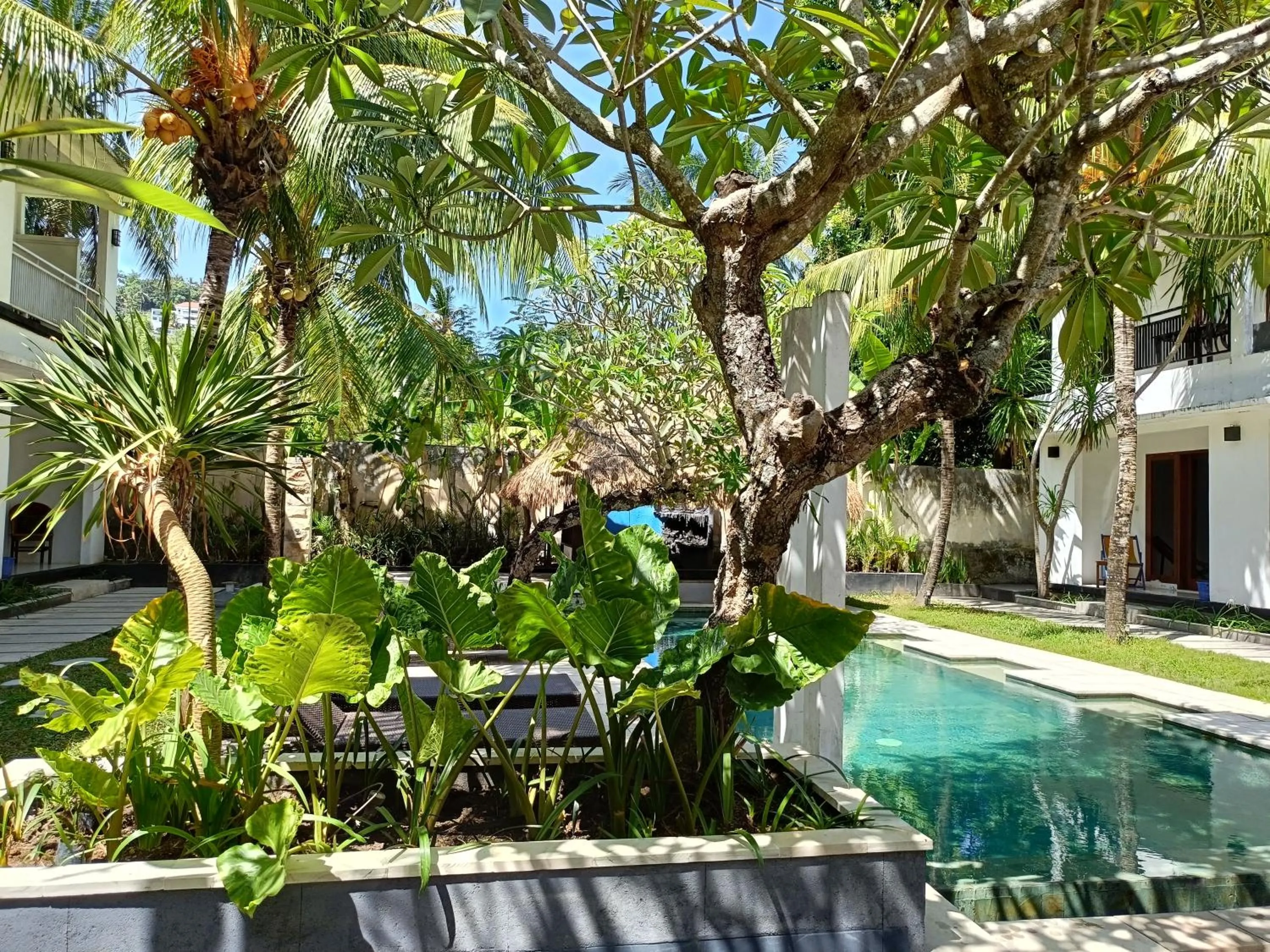 Garden in Alam Mimpi Hotel