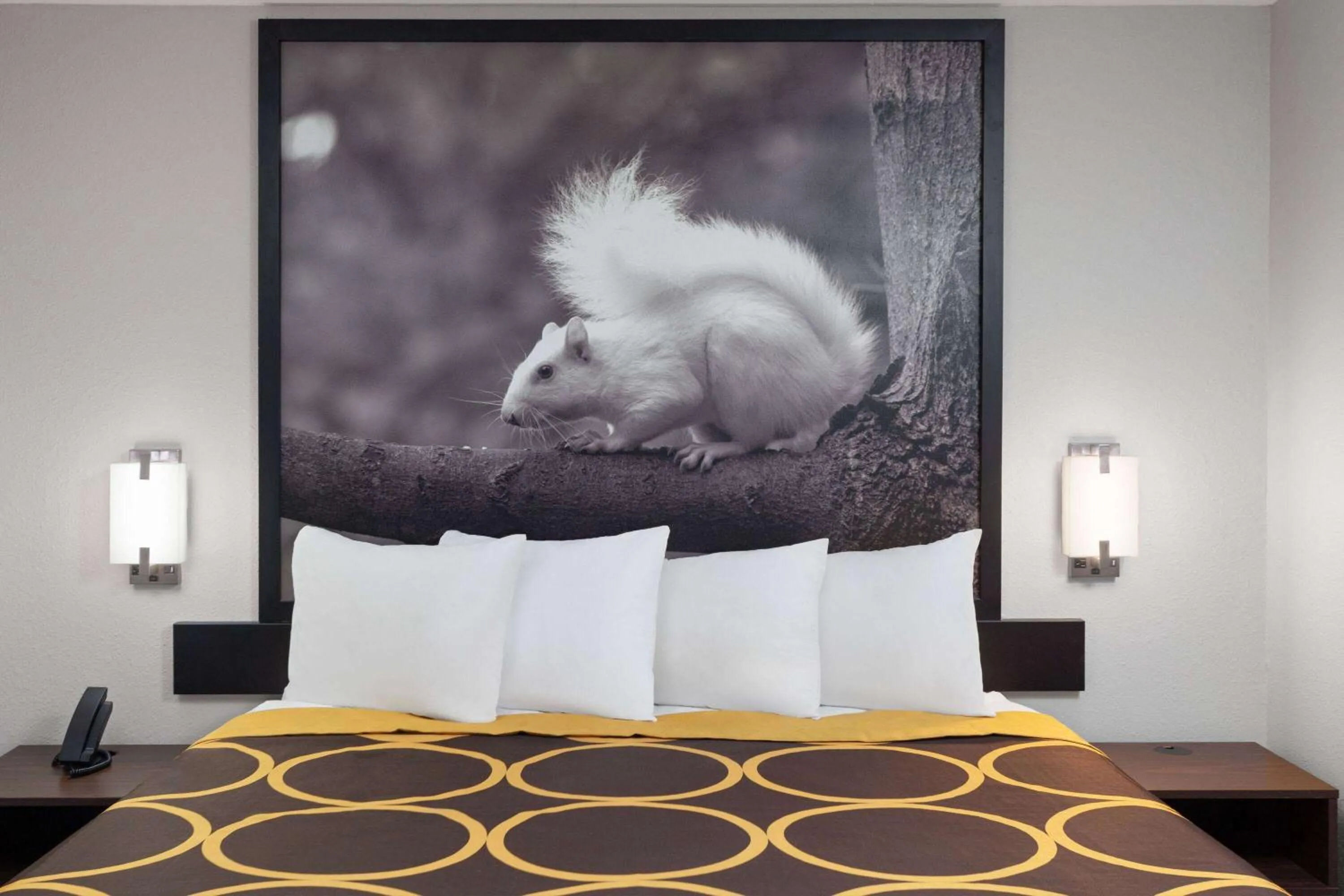 Photo of the whole room, Bed in Super 8 by Wyndham Olney