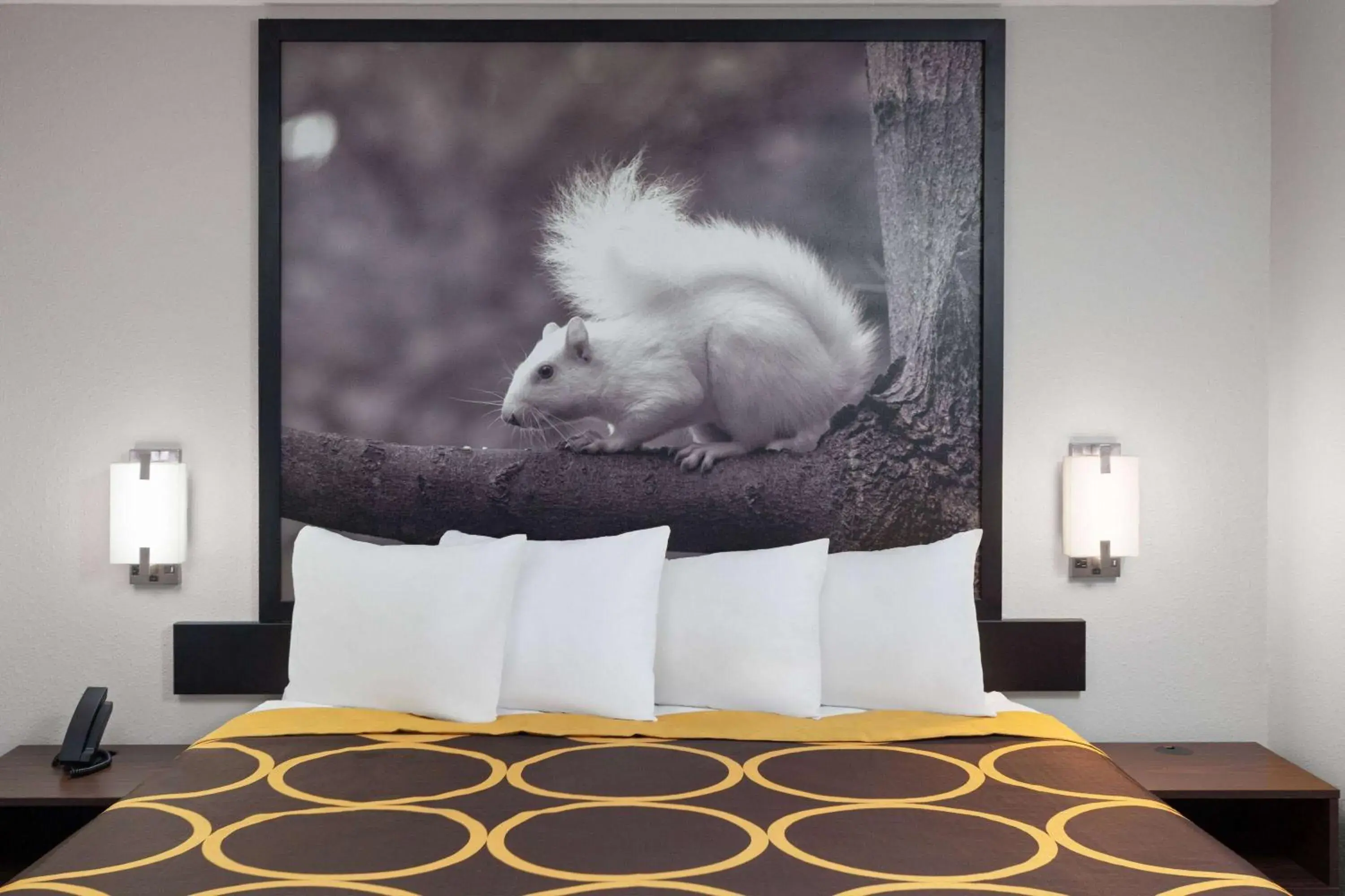 Photo of the whole room, Bed in Super 8 by Wyndham Olney Photo of the whole room, Bed in Super 8 by Wyndham Olney