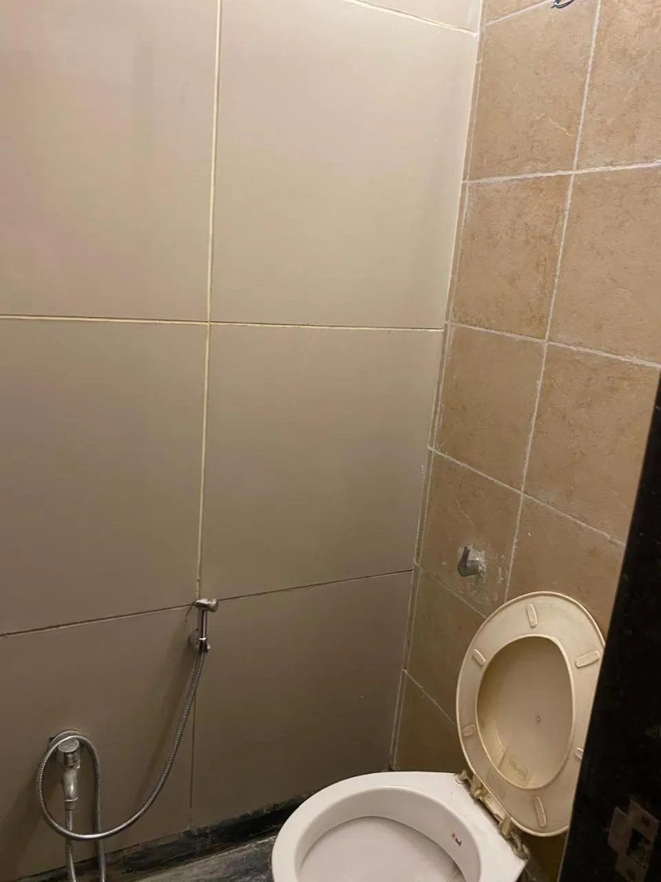 Toilet in Hotel Skylark