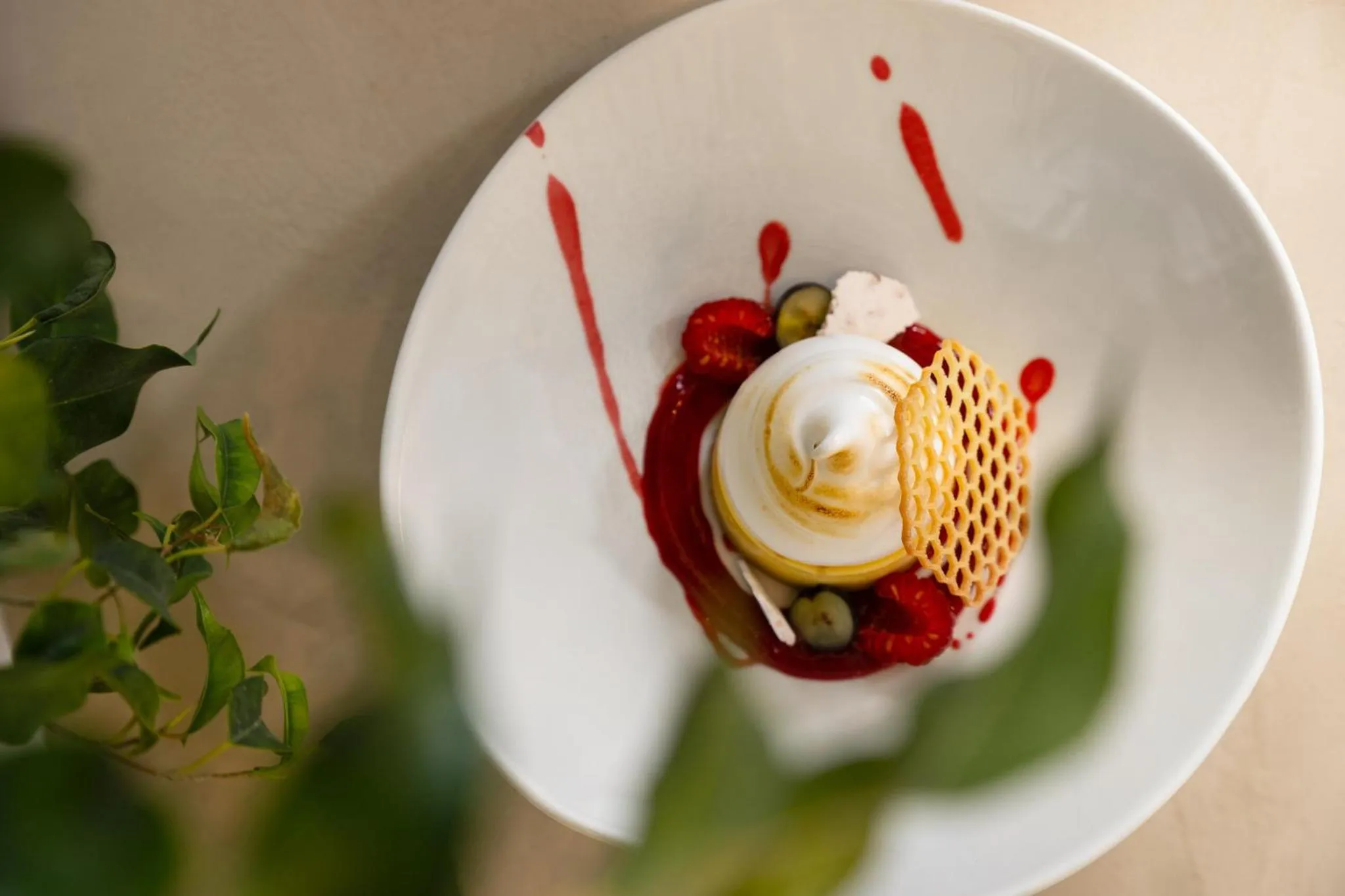 Restaurant/places to eat in Kimpton Los Monteros Marbella by IHG