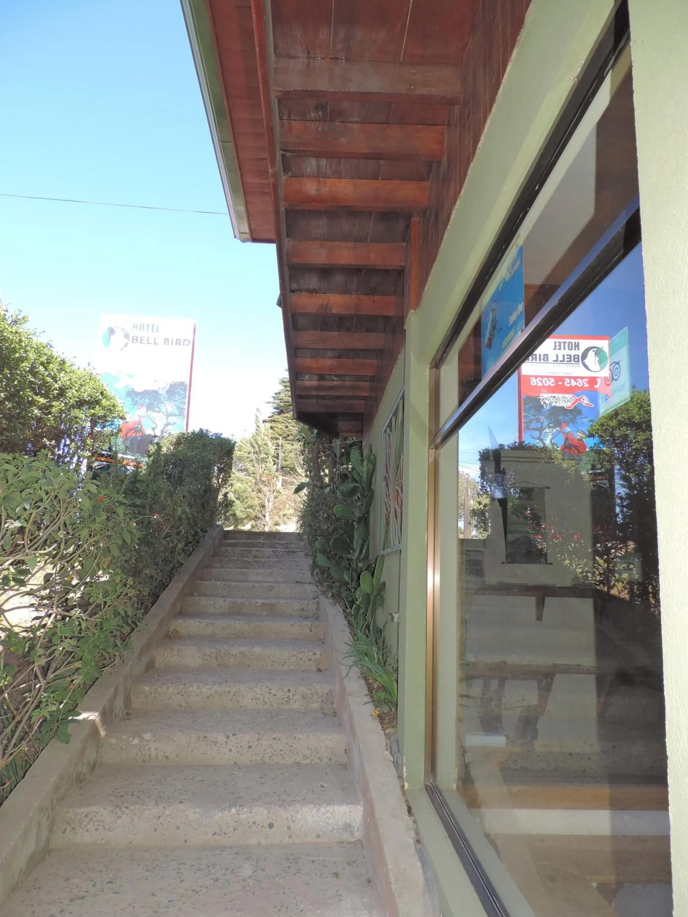 Street view in Hotel Bell Bird