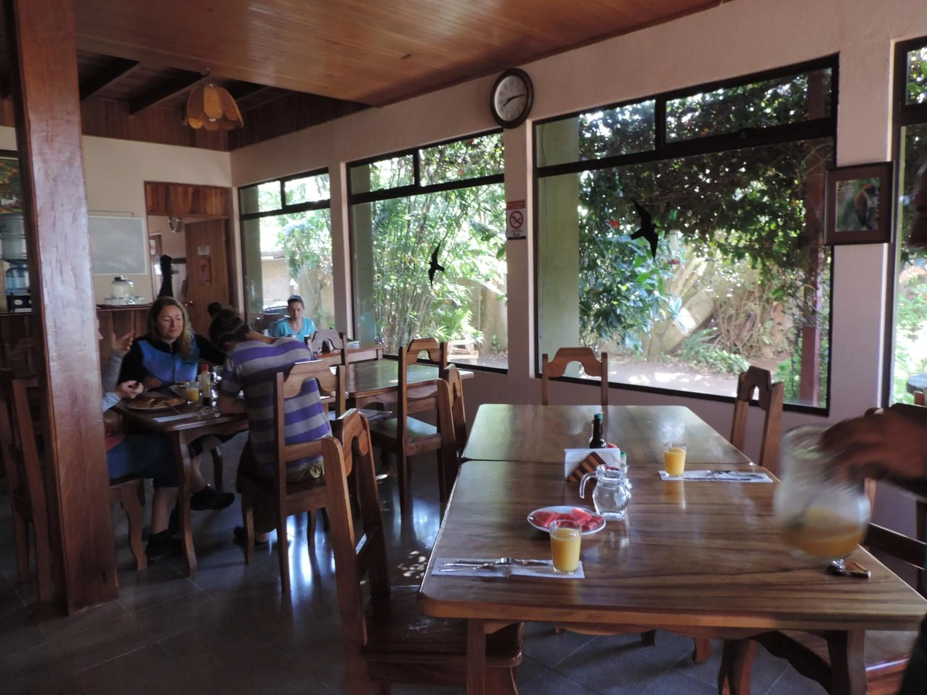 Lounge or bar in Hotel Bell Bird