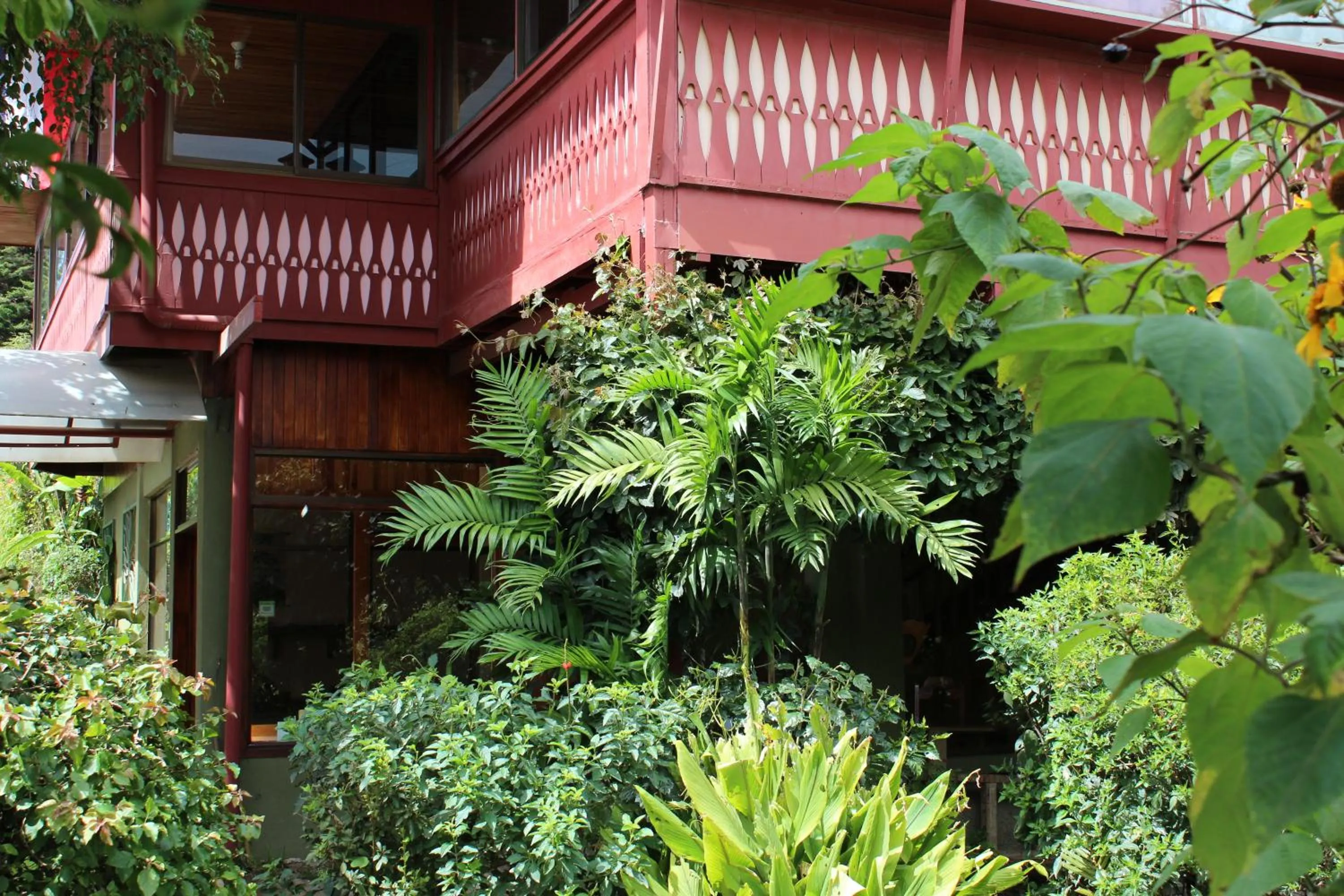 Facade/entrance in Hotel Bell Bird