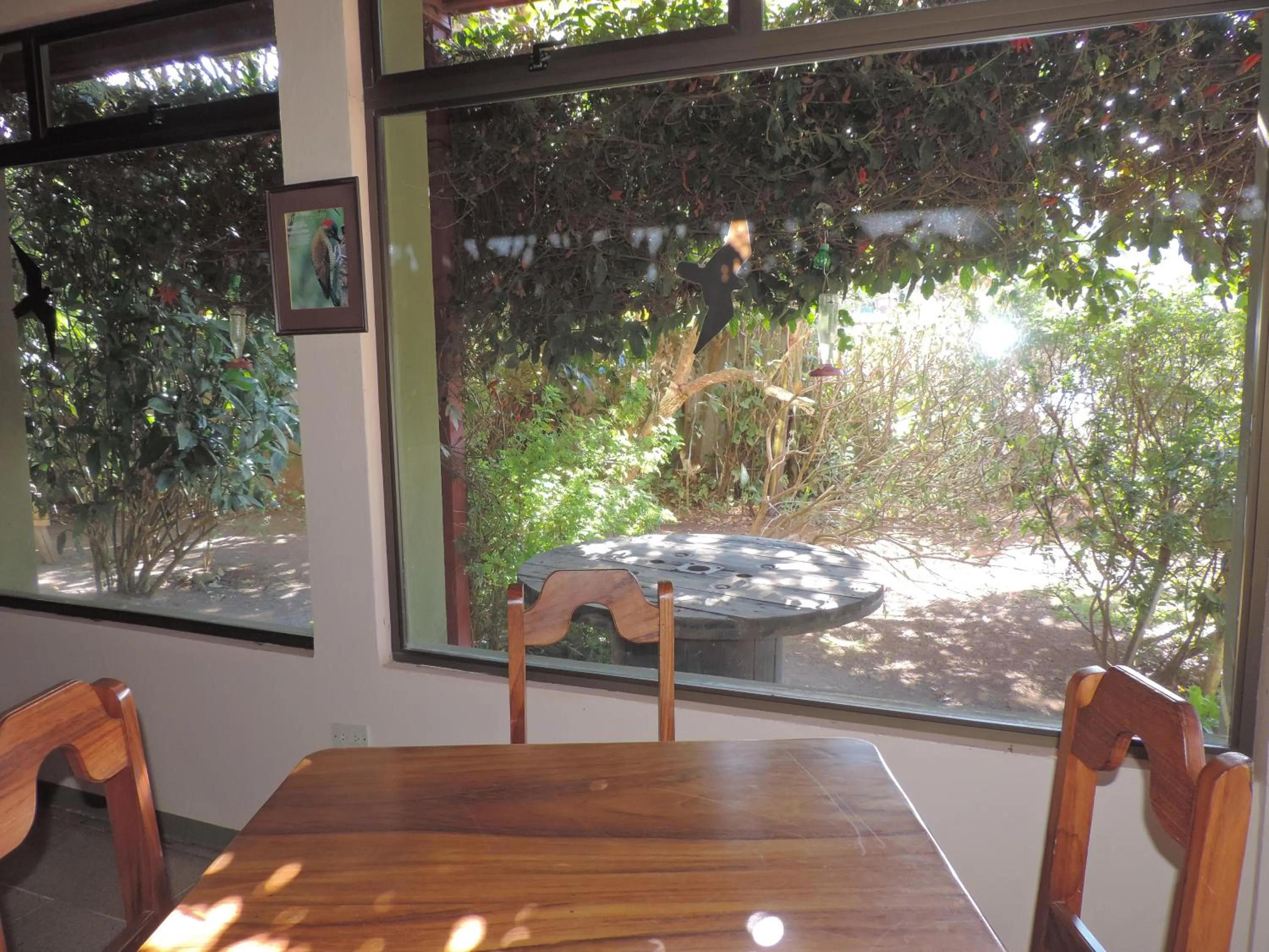 Garden view in Hotel Bell Bird