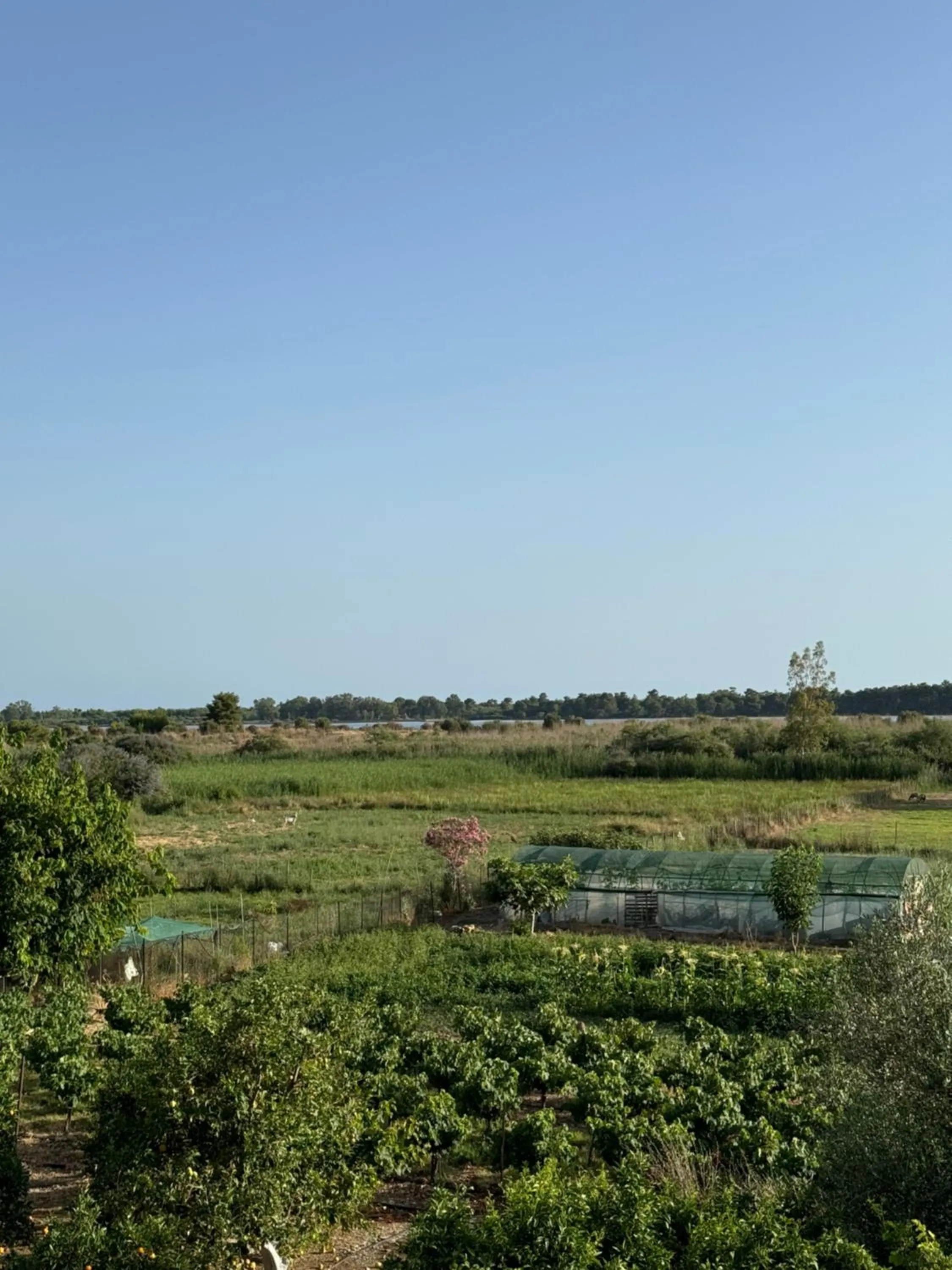 Lake view in Hotel Jenny