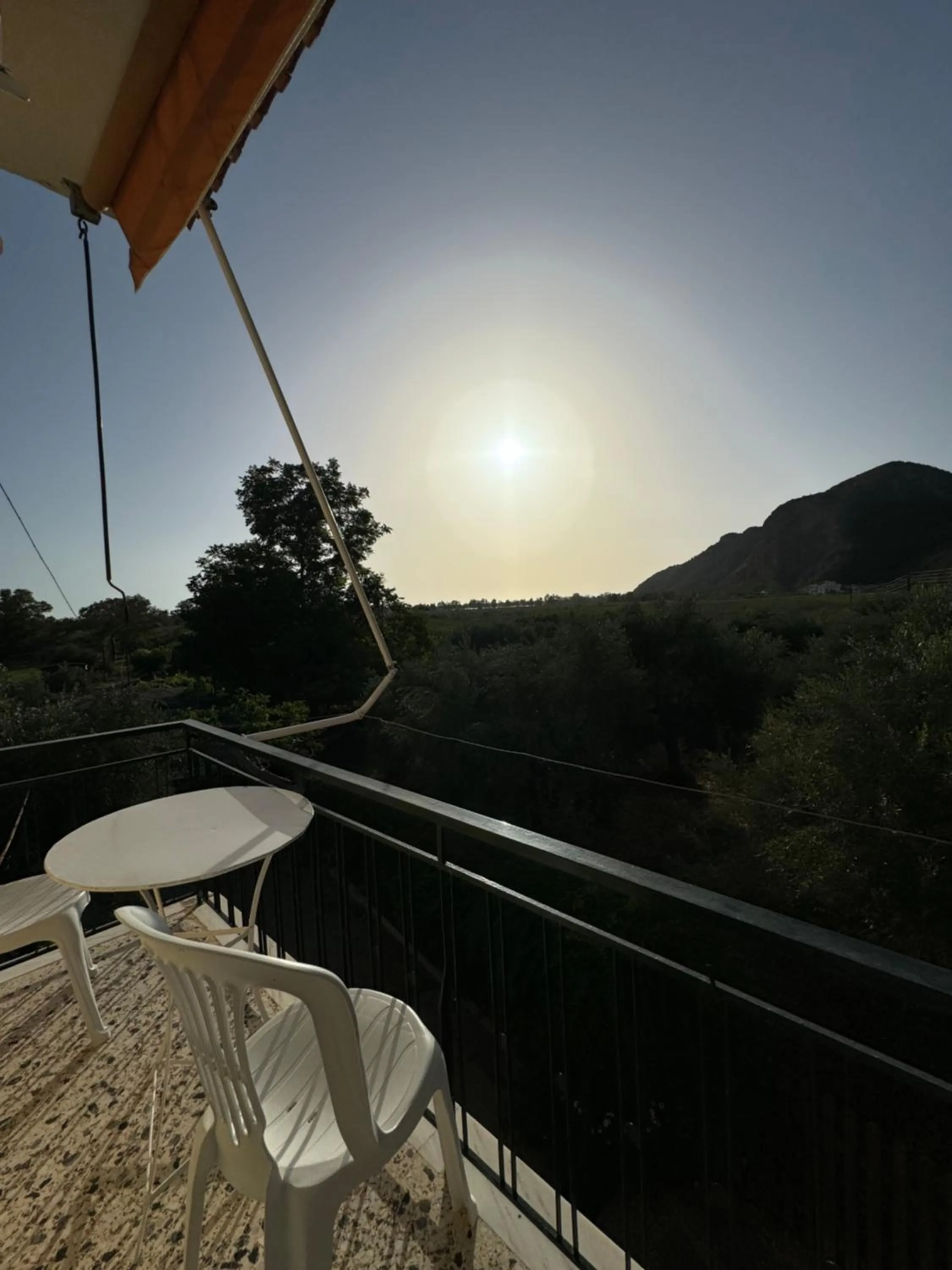 Balcony/Terrace in Hotel Jenny