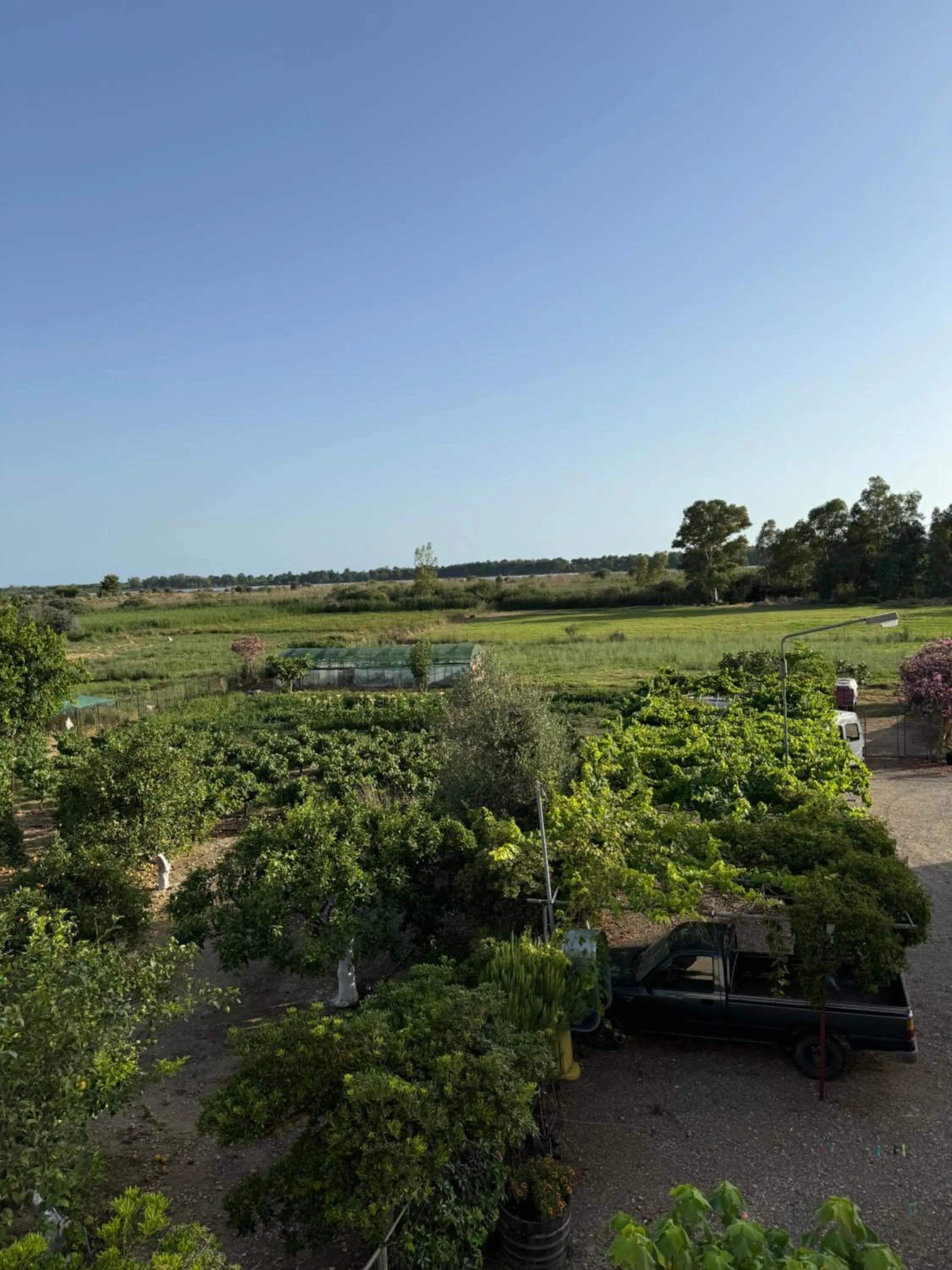 Garden view in Hotel Jenny