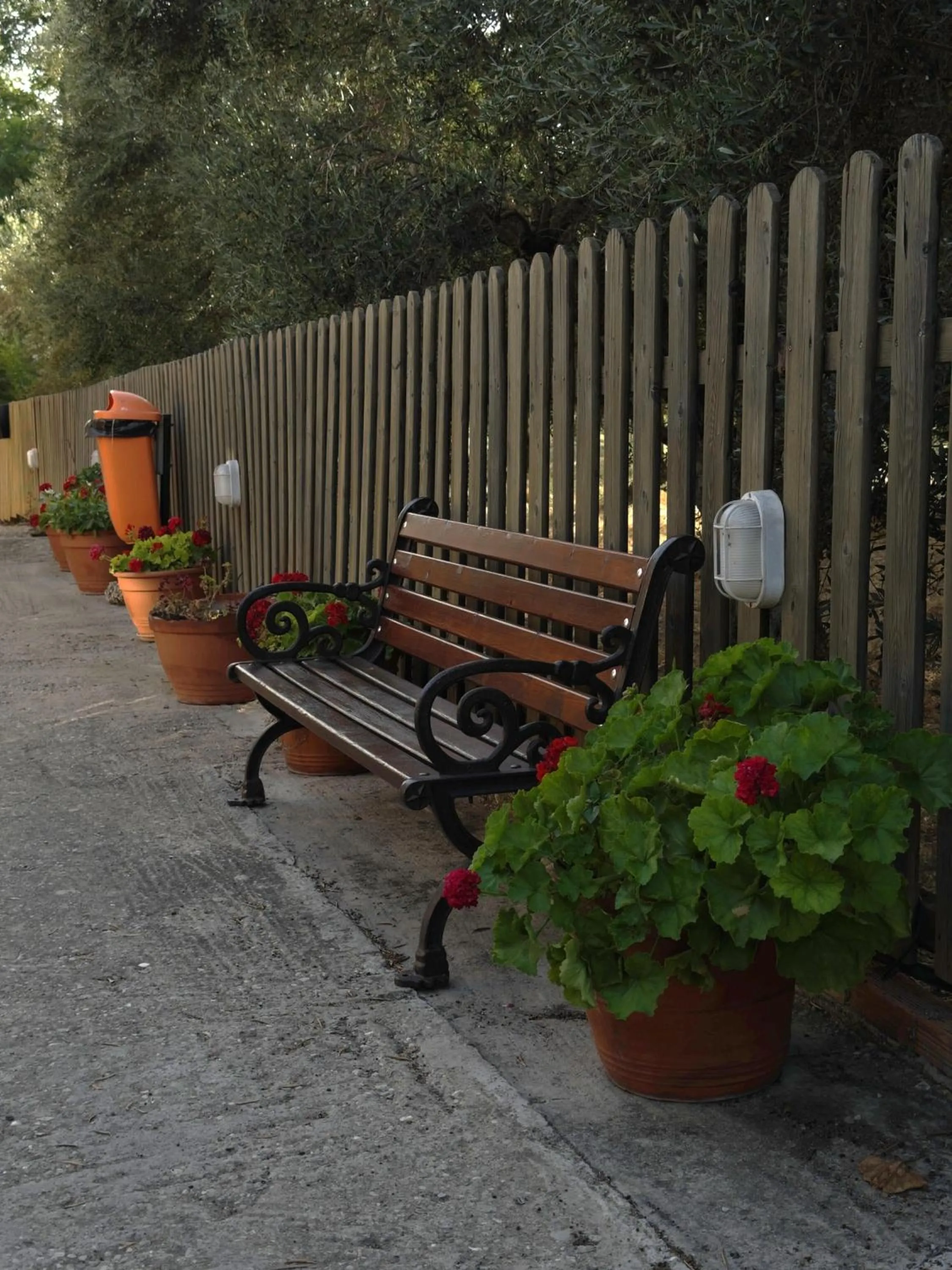 Garden in Hotel Jenny