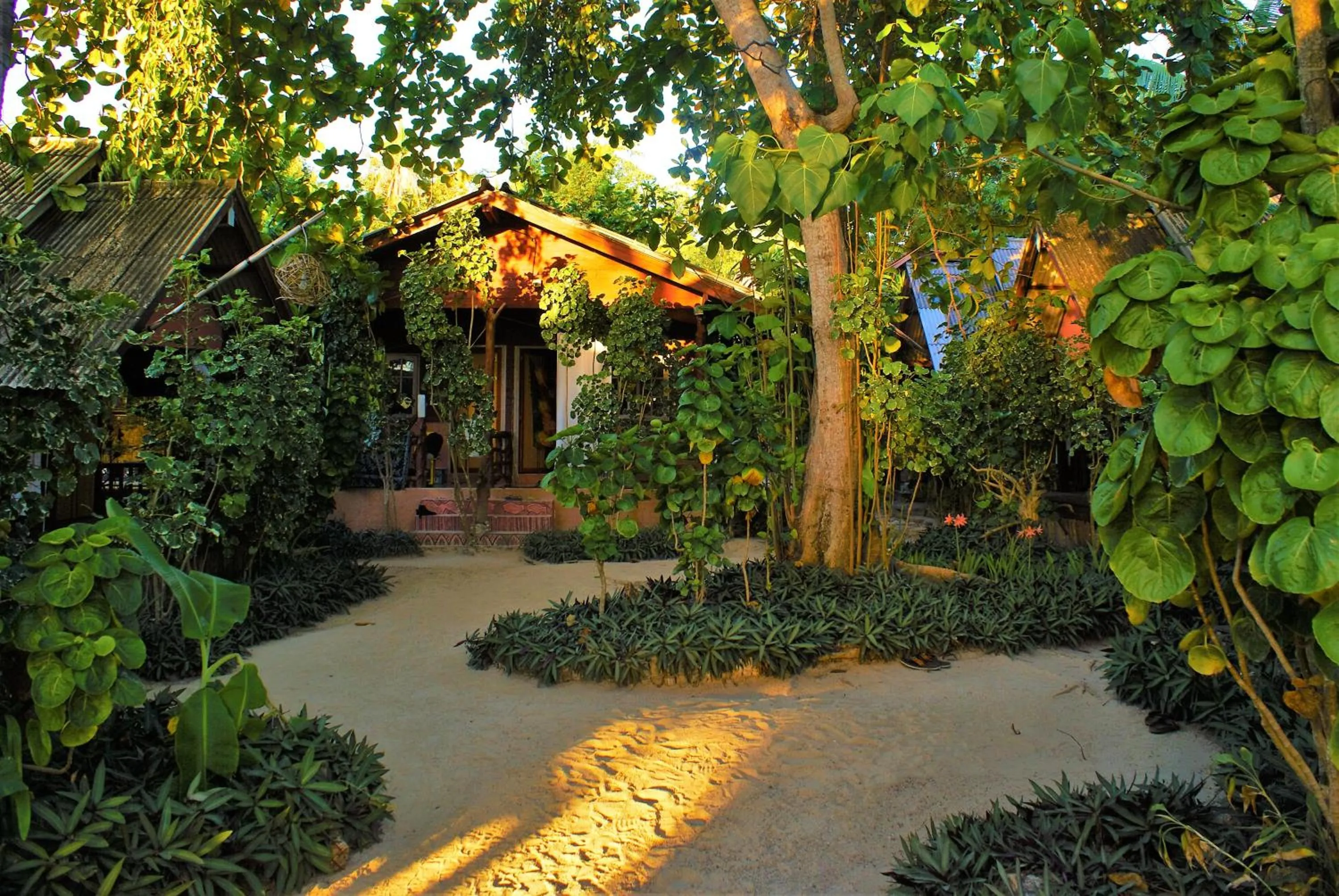 Garden view in Haad Chao Phao Resort