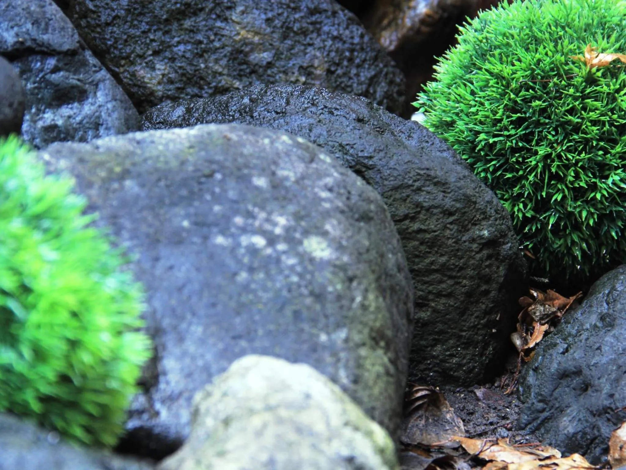 Open Air Bath in Hotel Grace Hakuba