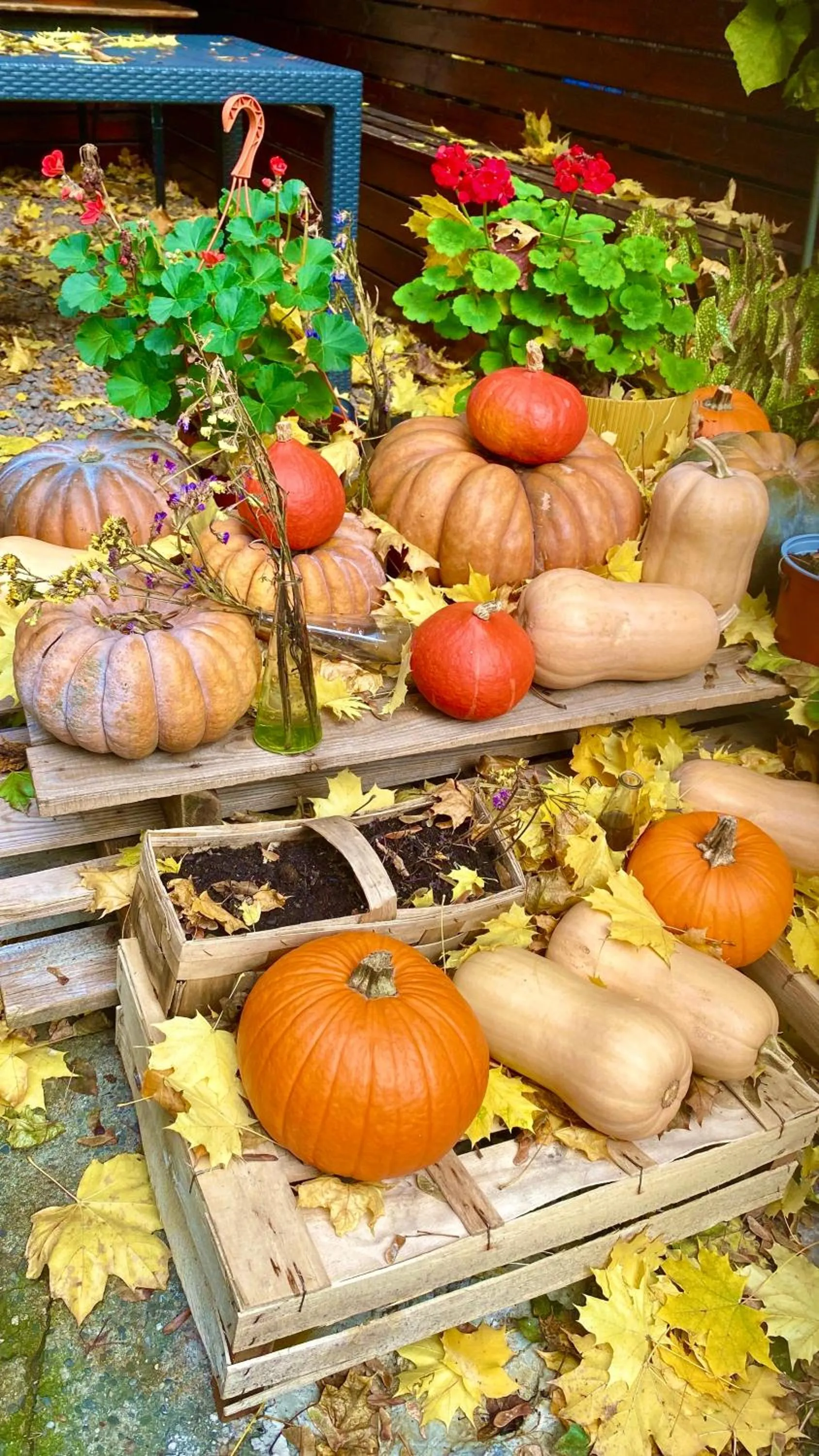 Inner courtyard view in Art Inn Space