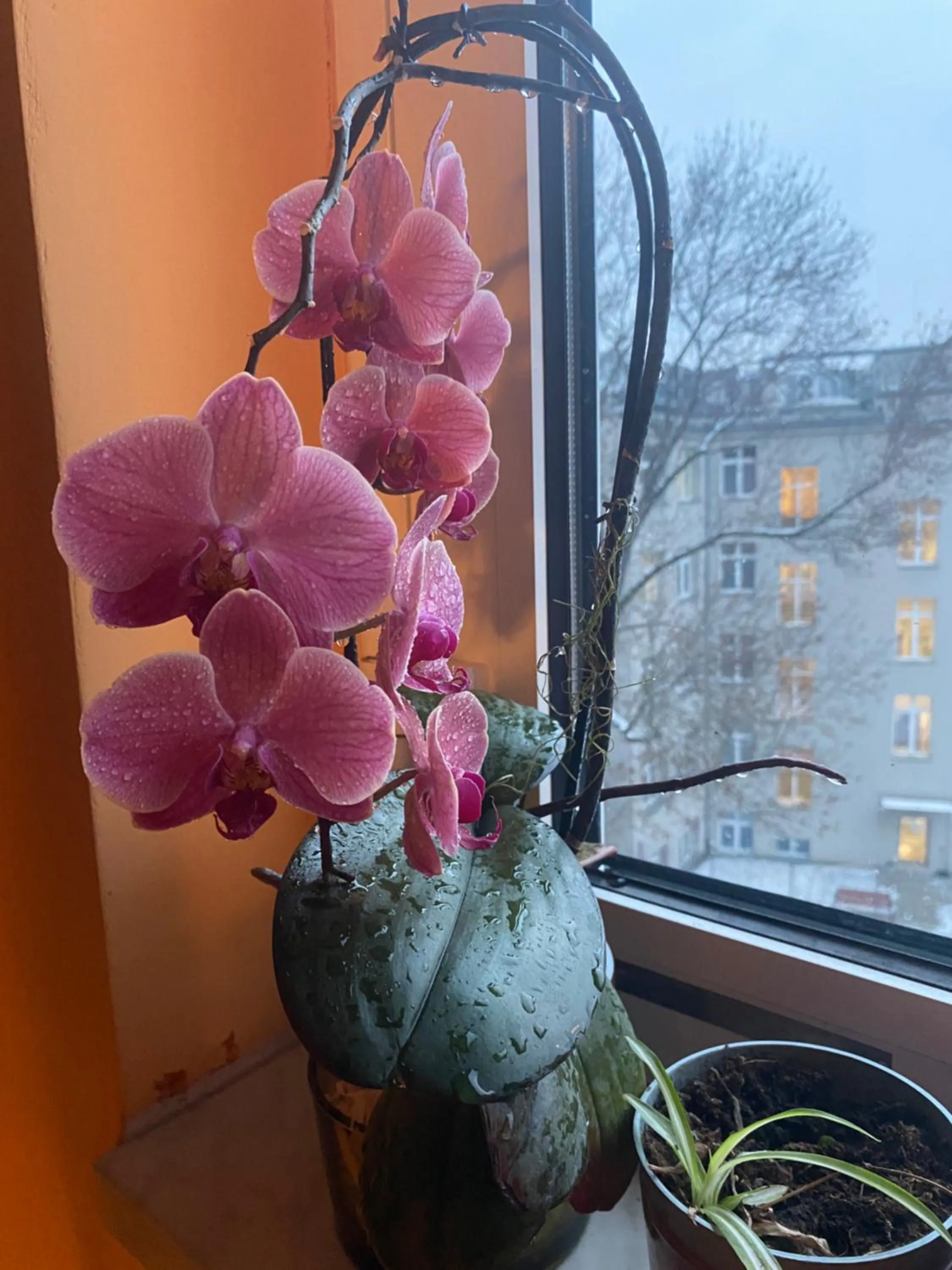 Patio in Art Inn Space