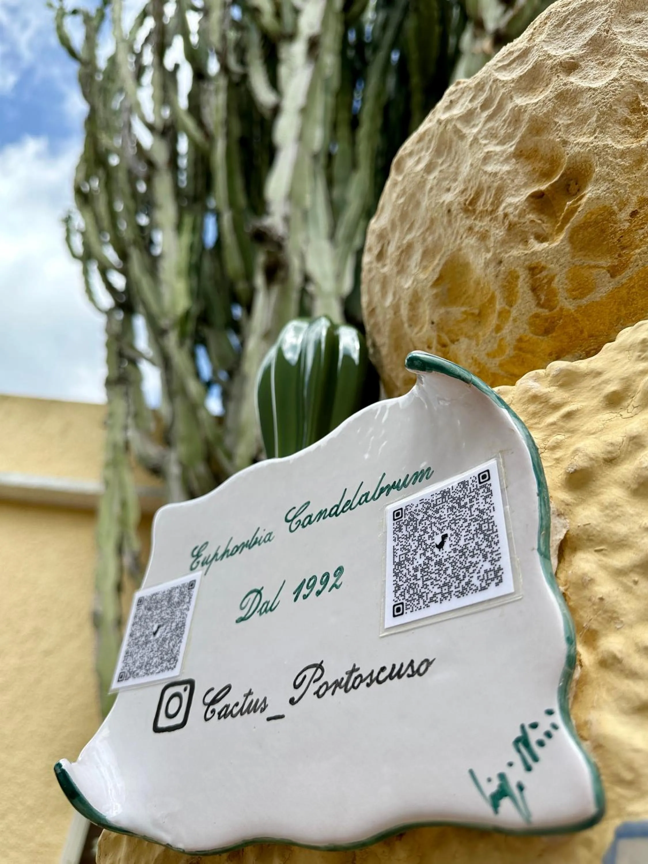 Casa Euphorbia
