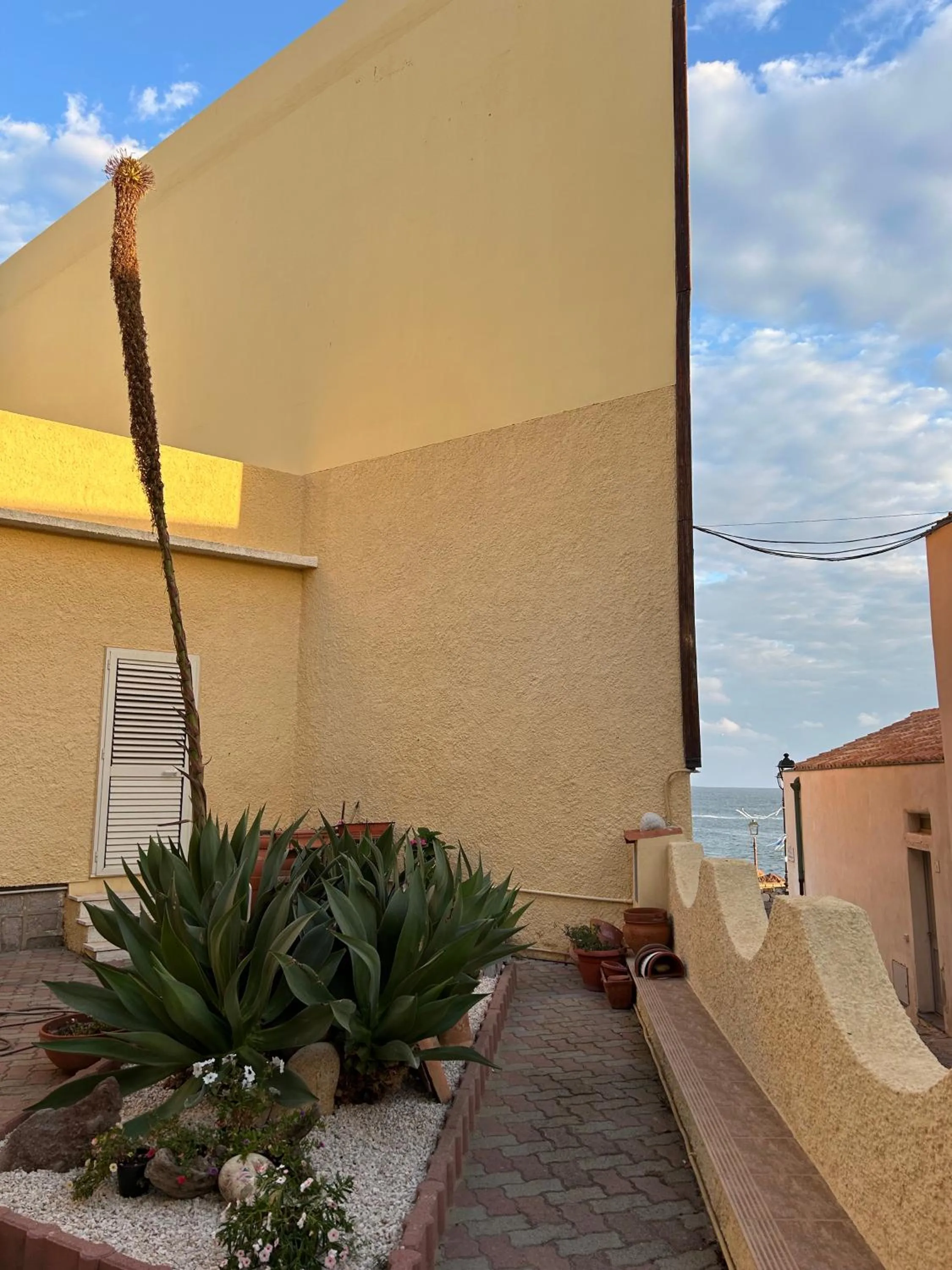 Casa Euphorbia
