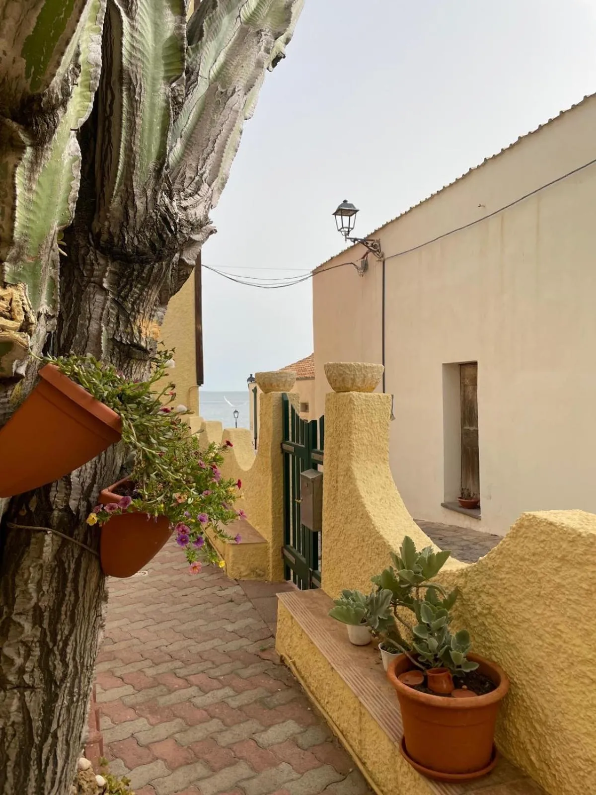 Garden in Casa Euphorbia