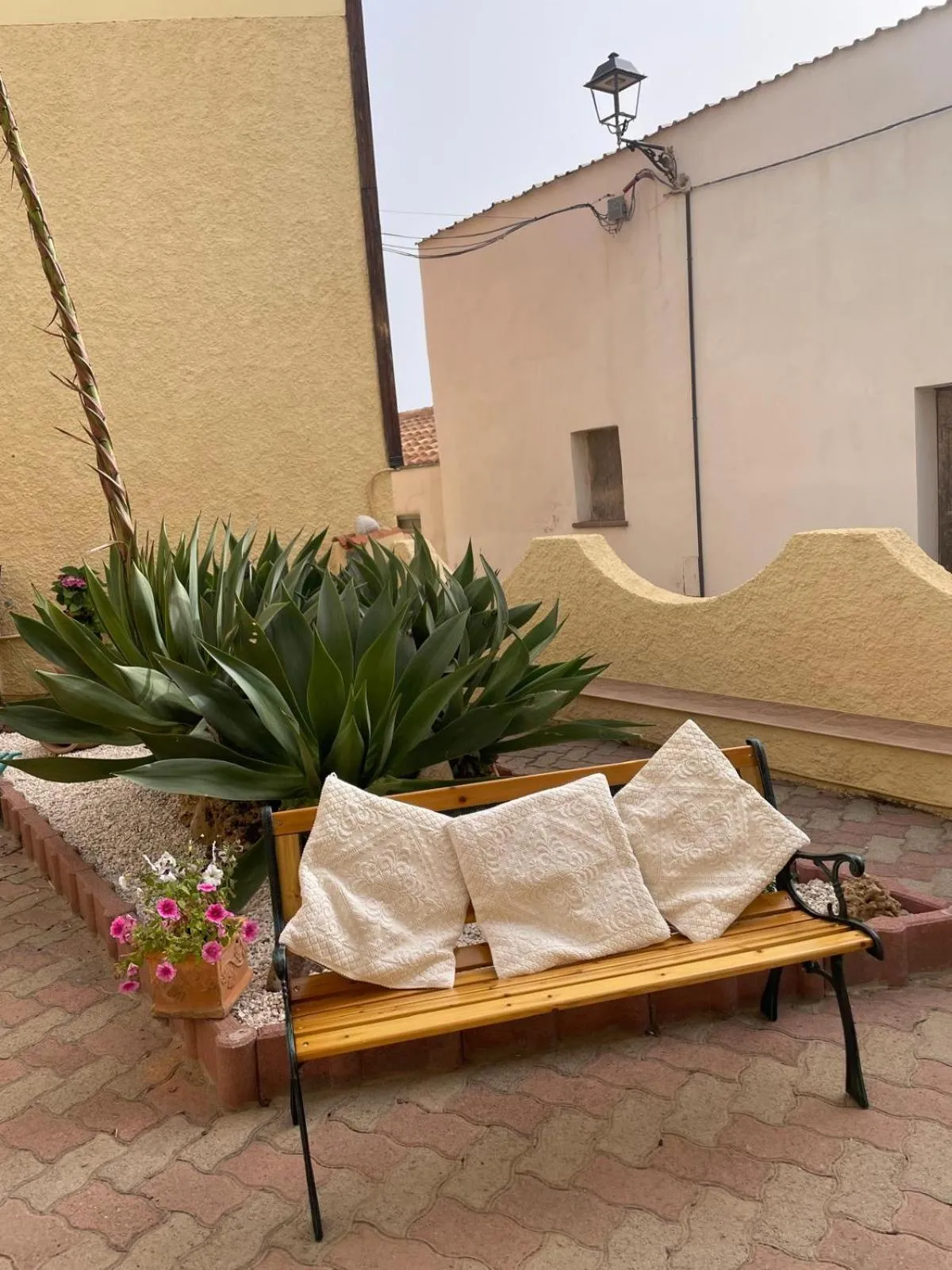 Garden in Casa Euphorbia