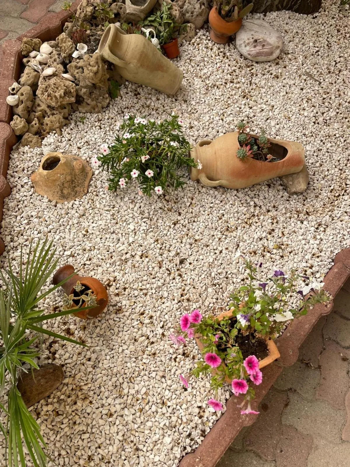 Garden in Casa Euphorbia