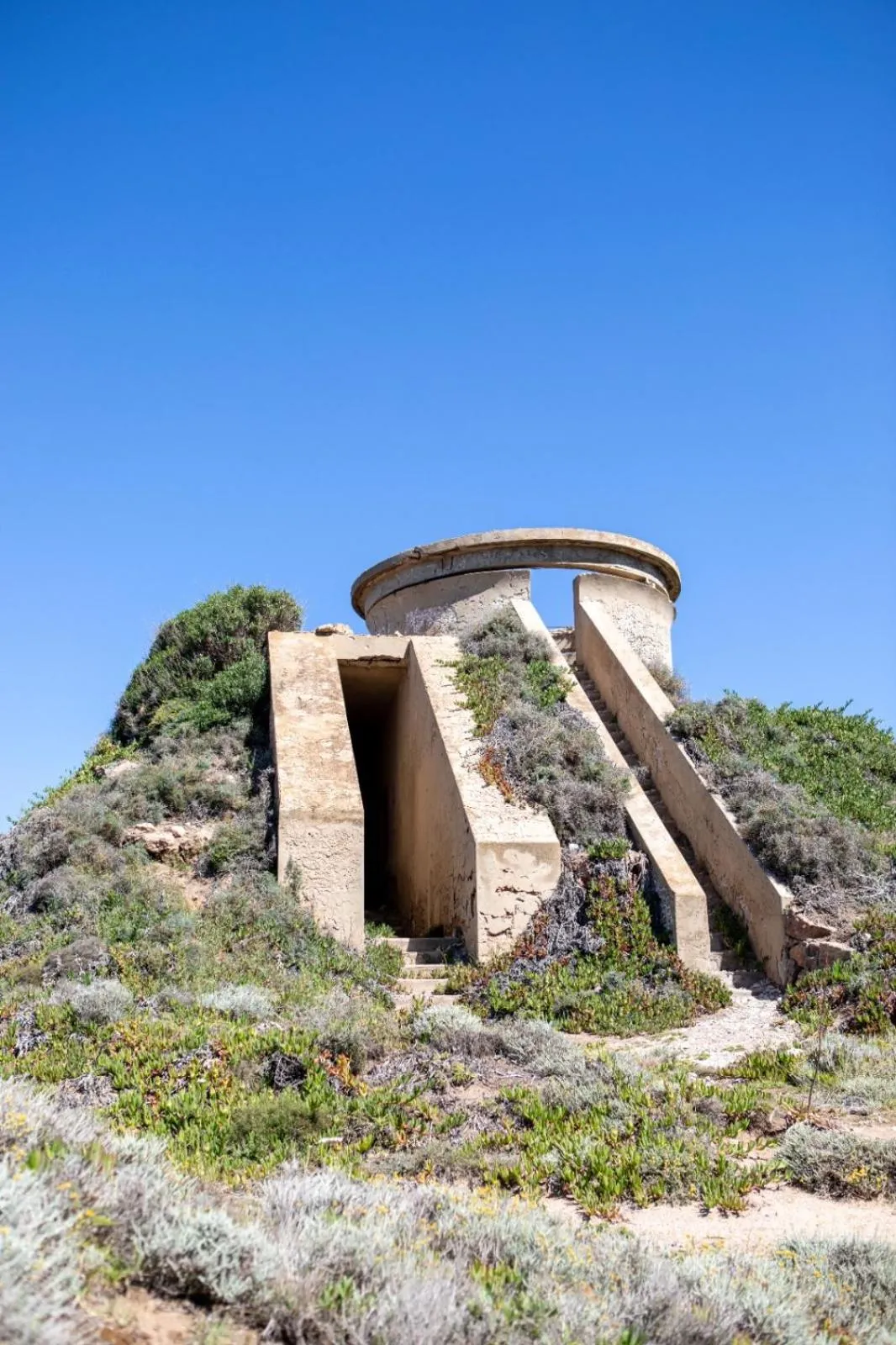 Casa Euphorbia