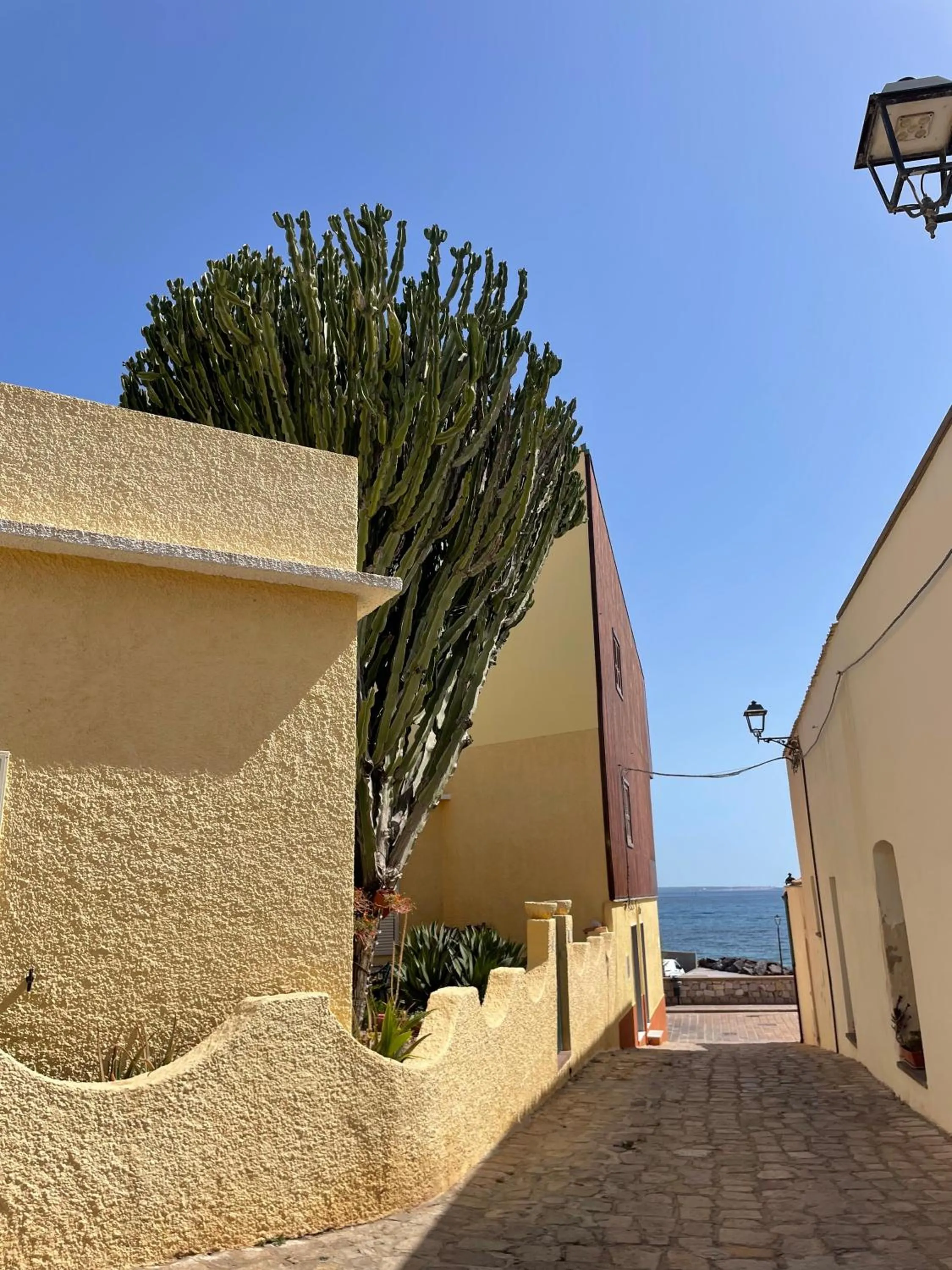 Casa Euphorbia