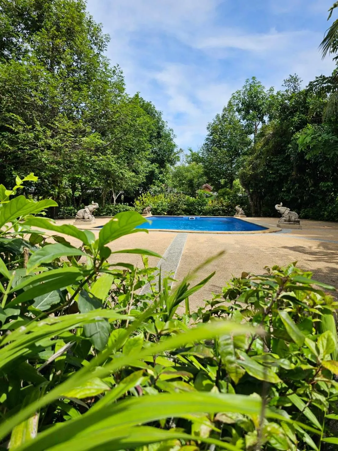 Garden in Samran Resort