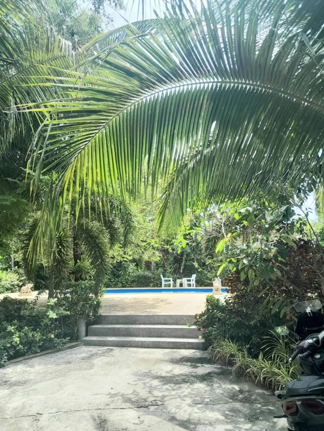 Pool view in Samran Resort