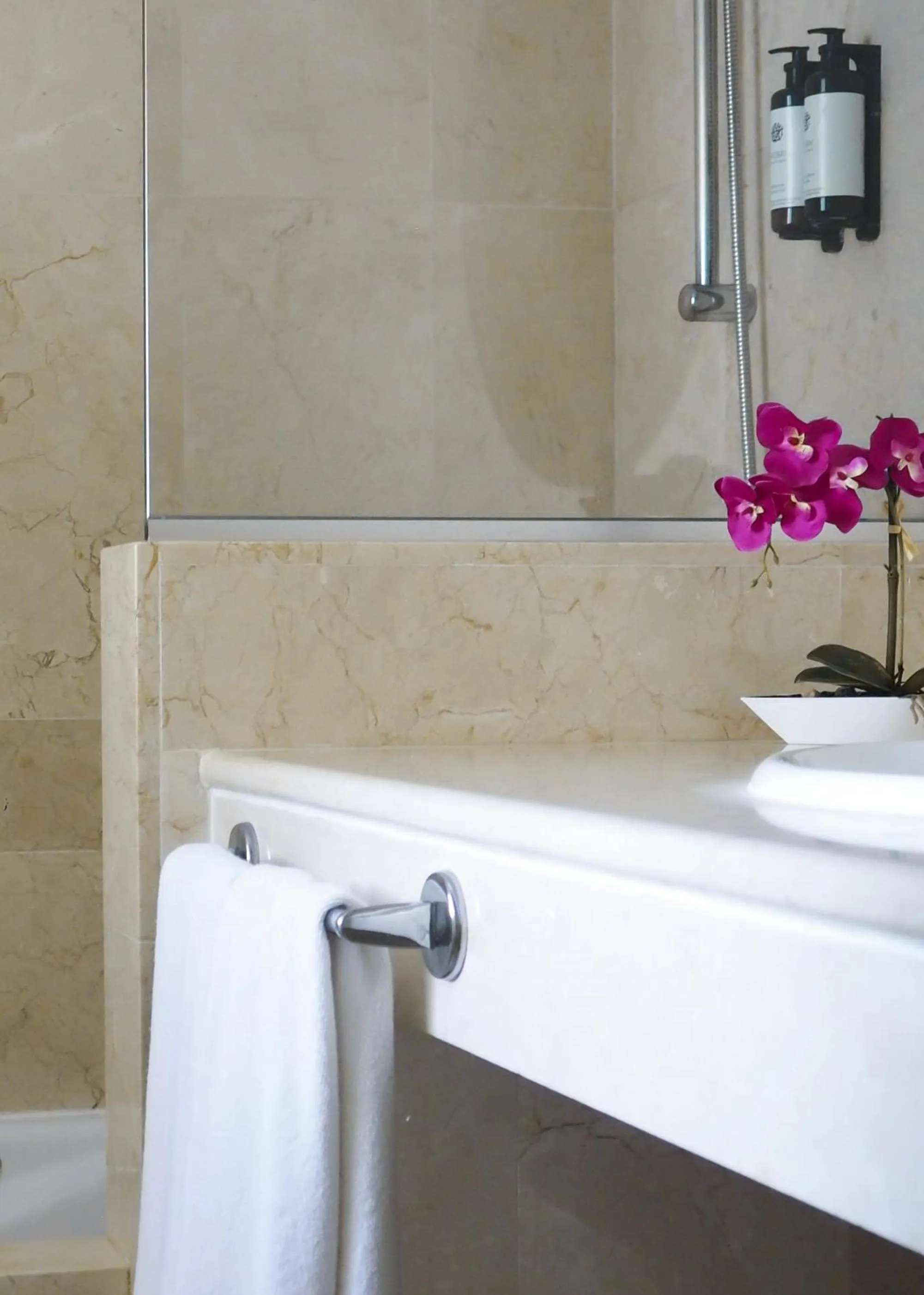 Bathroom in Elviria Hills Living