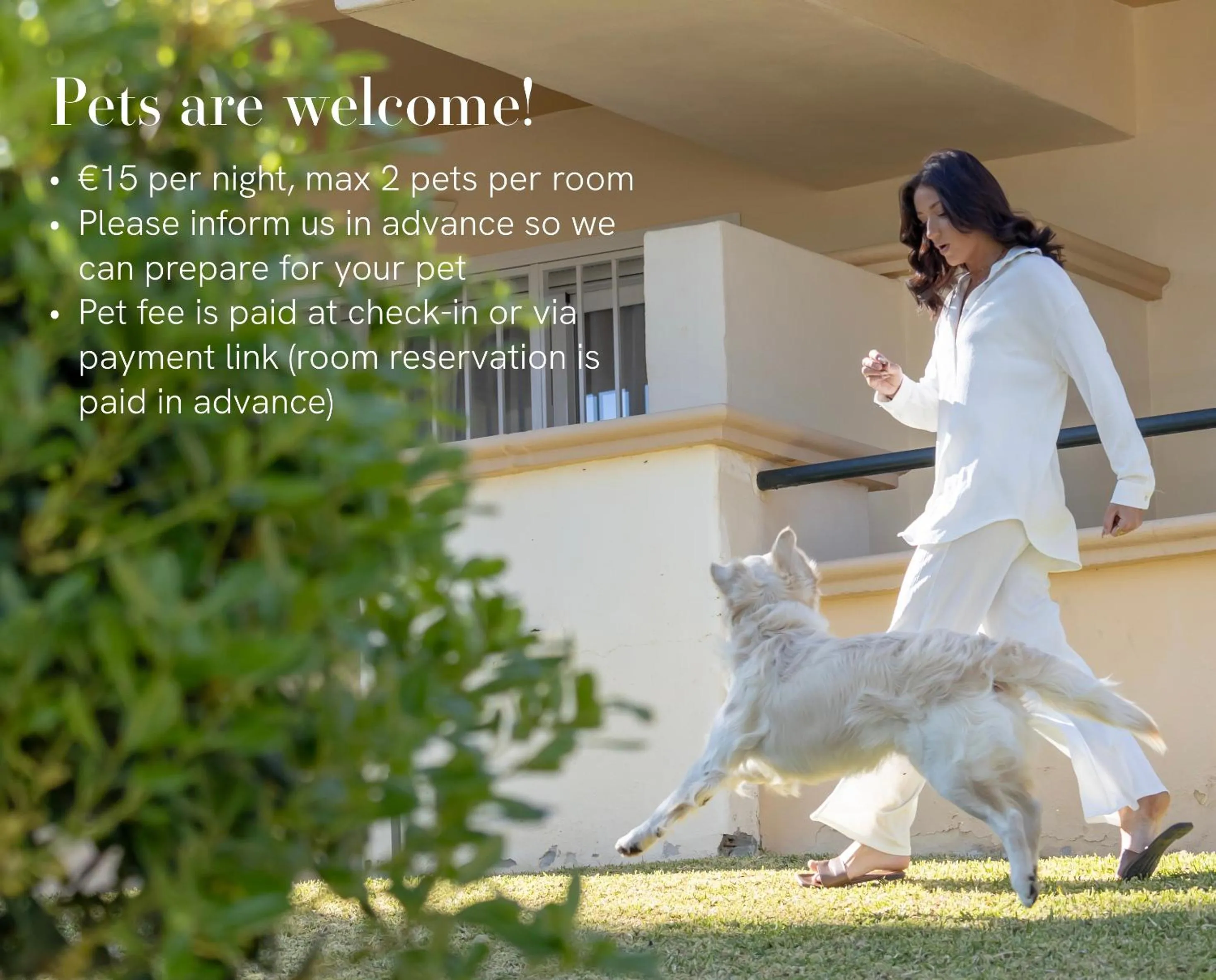Pets in Elviria Hills Living