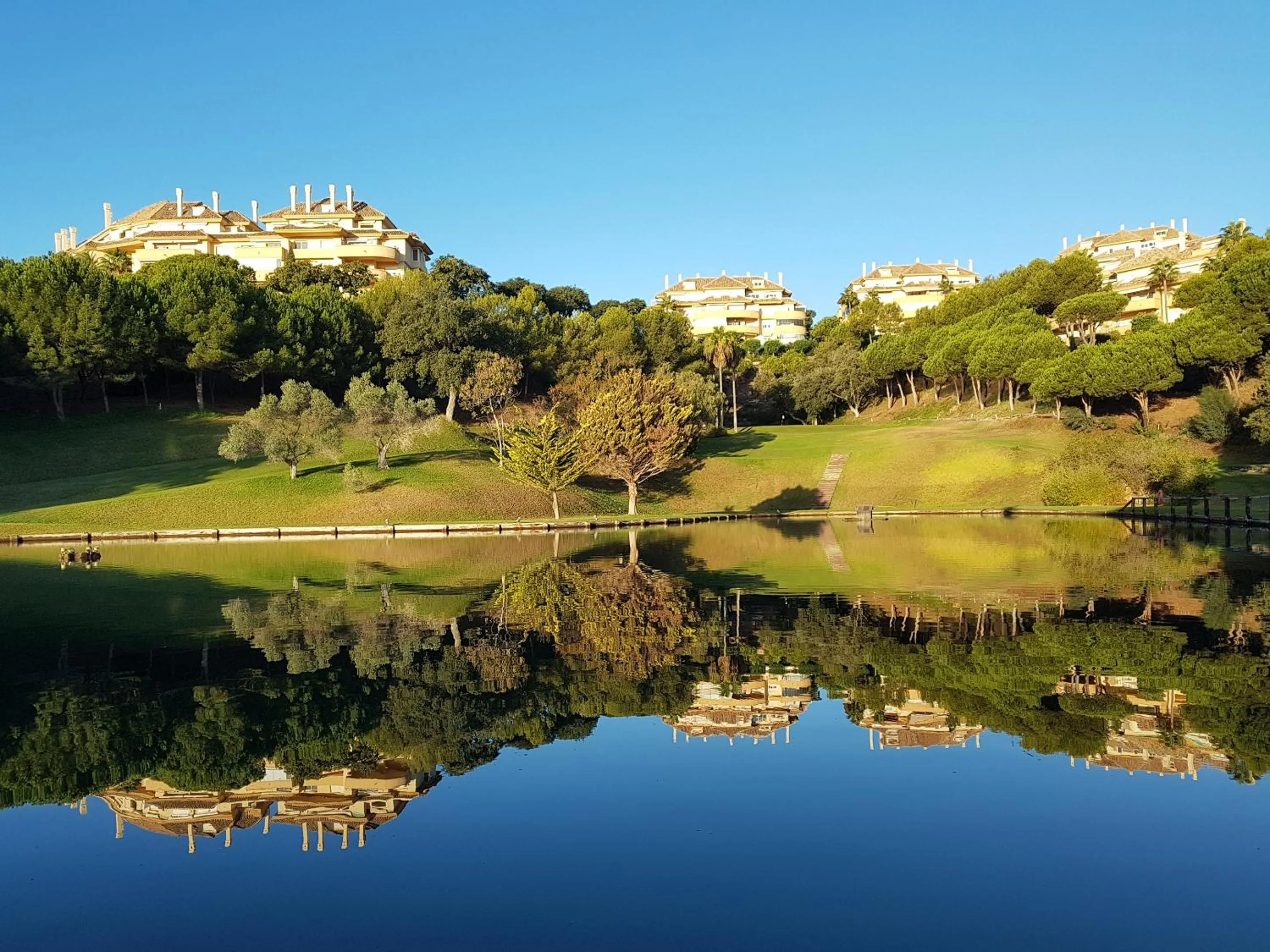 Natural landscape in Hotel - Apartamentos Greenlife Golf