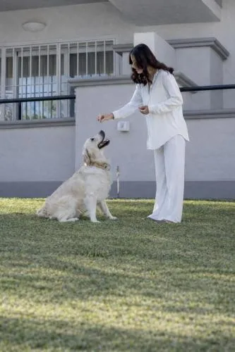 Elviria Hills Living