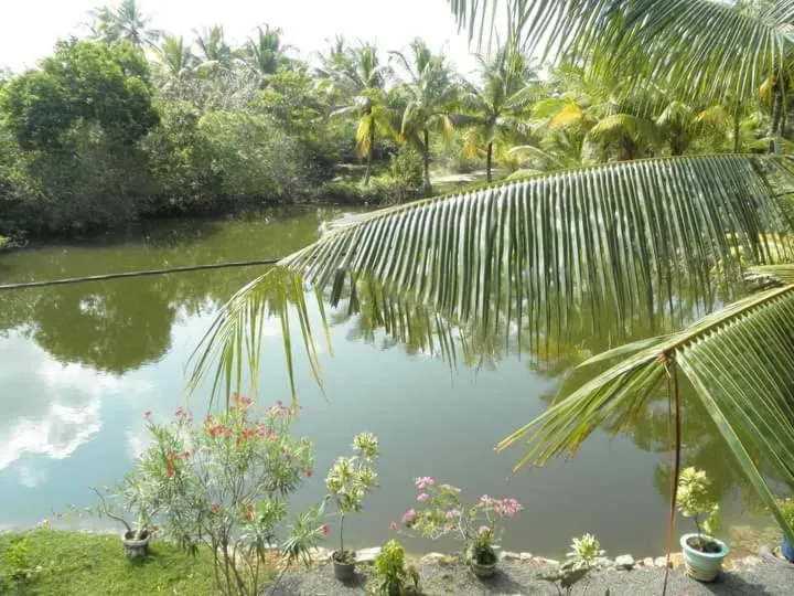Natural landscape in Lagoonvilla hotel