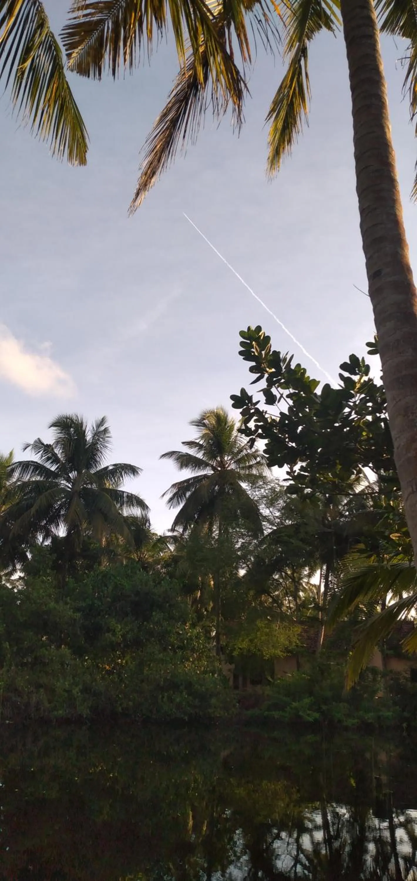 Natural landscape in Lagoonvilla hotel