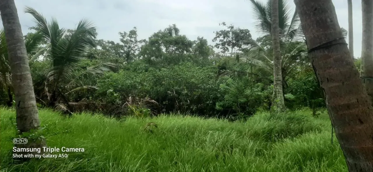Natural landscape in Lagoonvilla hotel