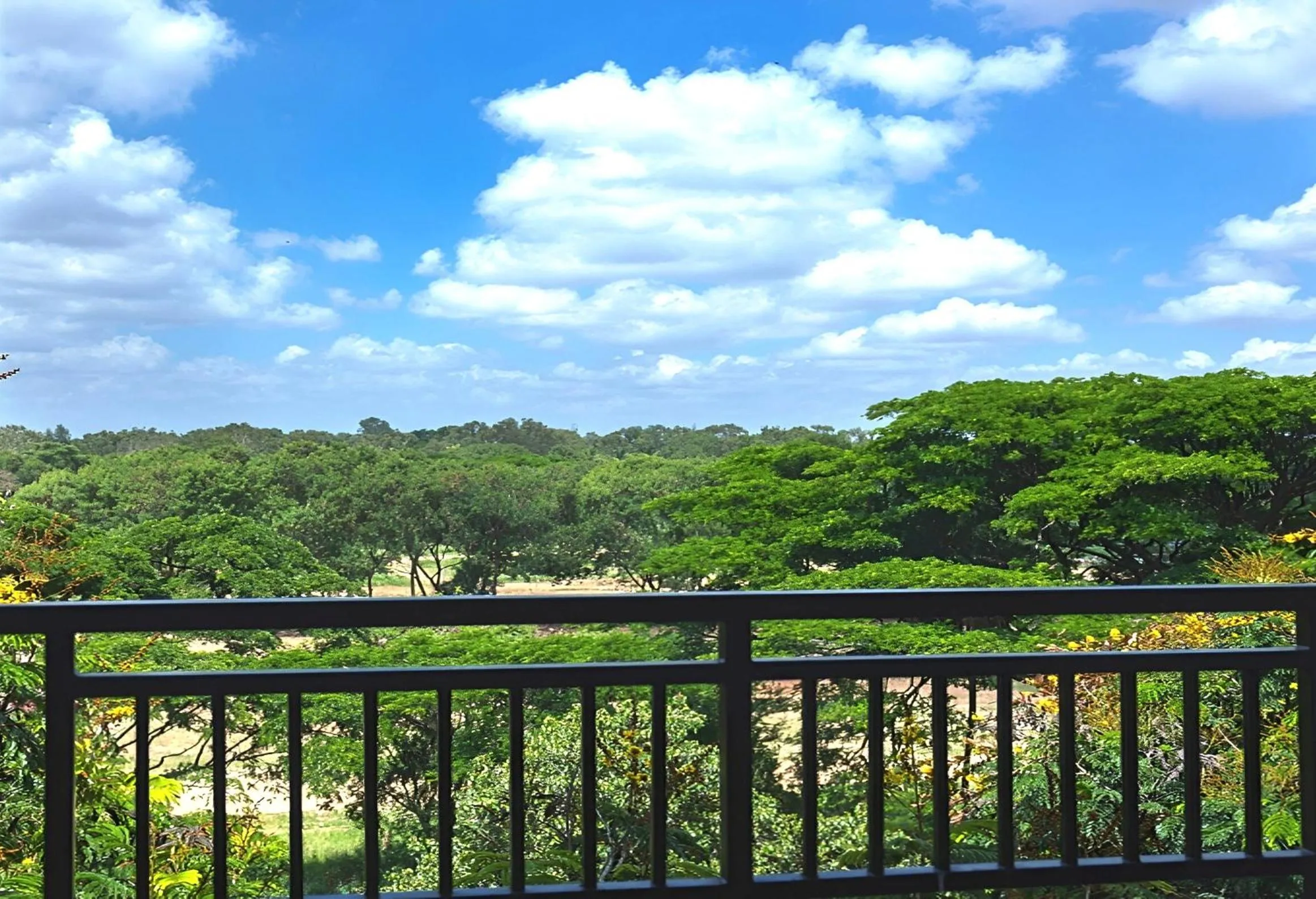 View (from property/room) in Palani Andavar