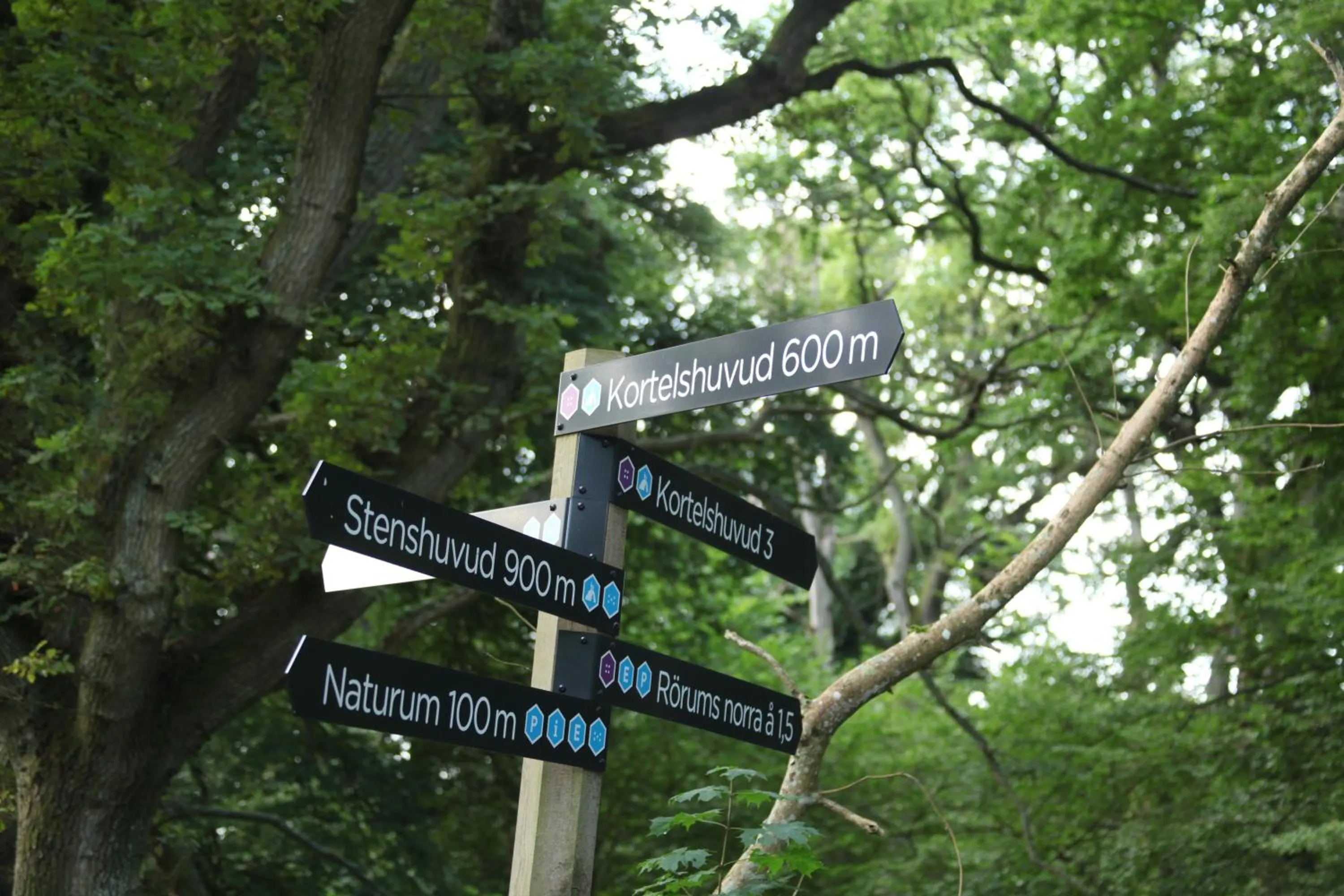 Natural landscape in Svabesholms Kungsgårds B&B och Pensionat Stenshuvud