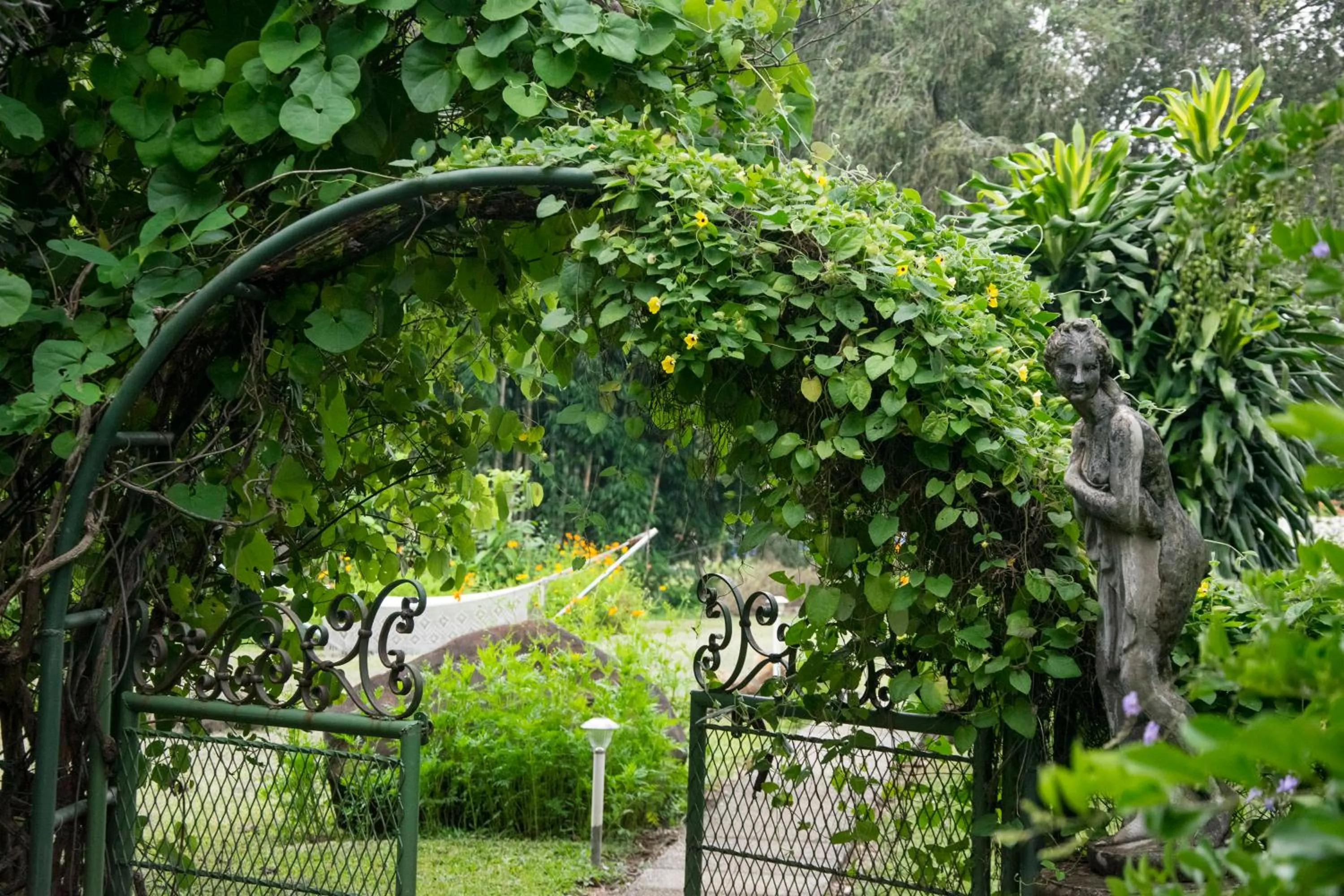 Garden in Villa Margarita