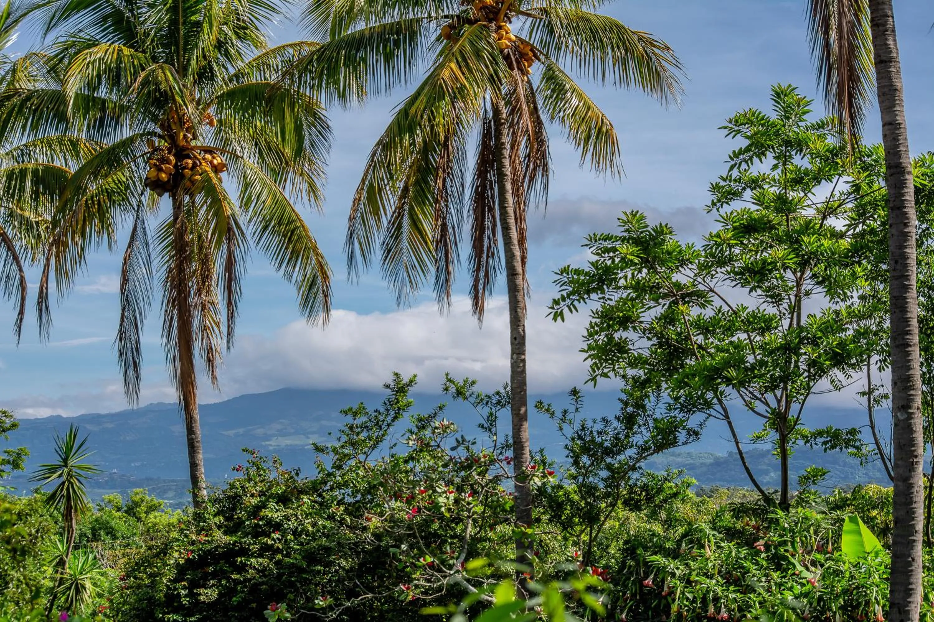 Natural landscape in Villa Margarita
