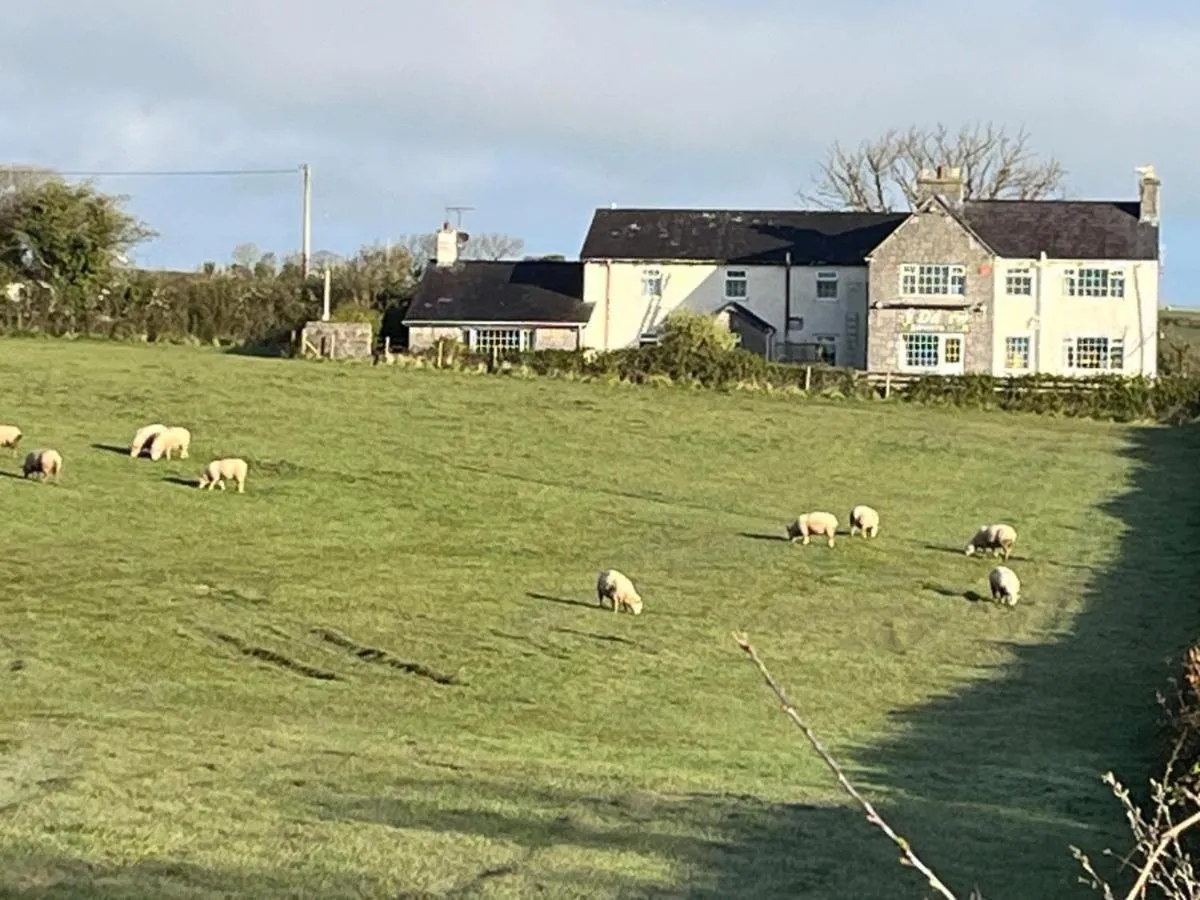 Property building in Ty Dderw Country Inn