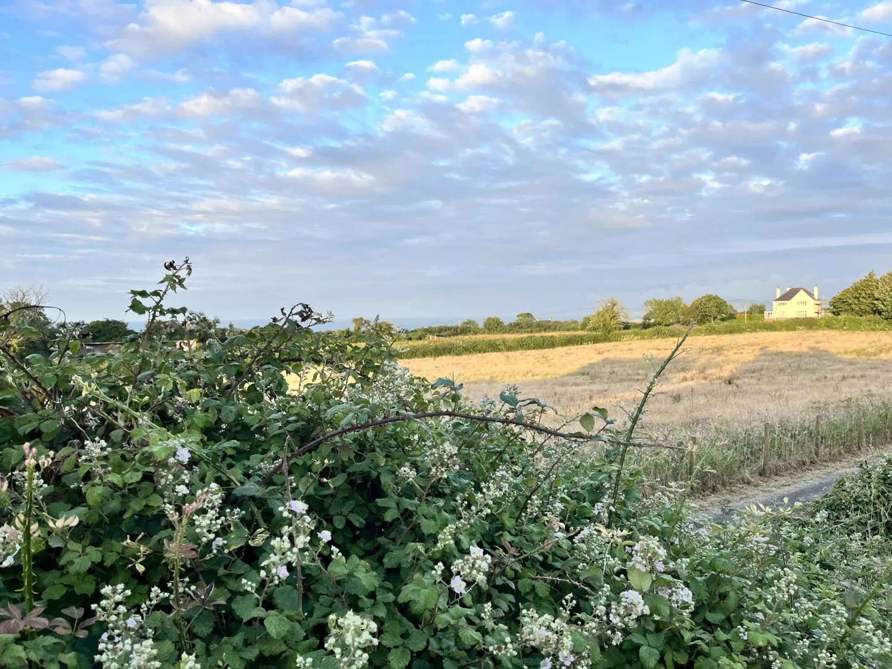 Budget Double Room in Ty Dderw Country Inn Budget Double Room in Ty Dderw Country Inn