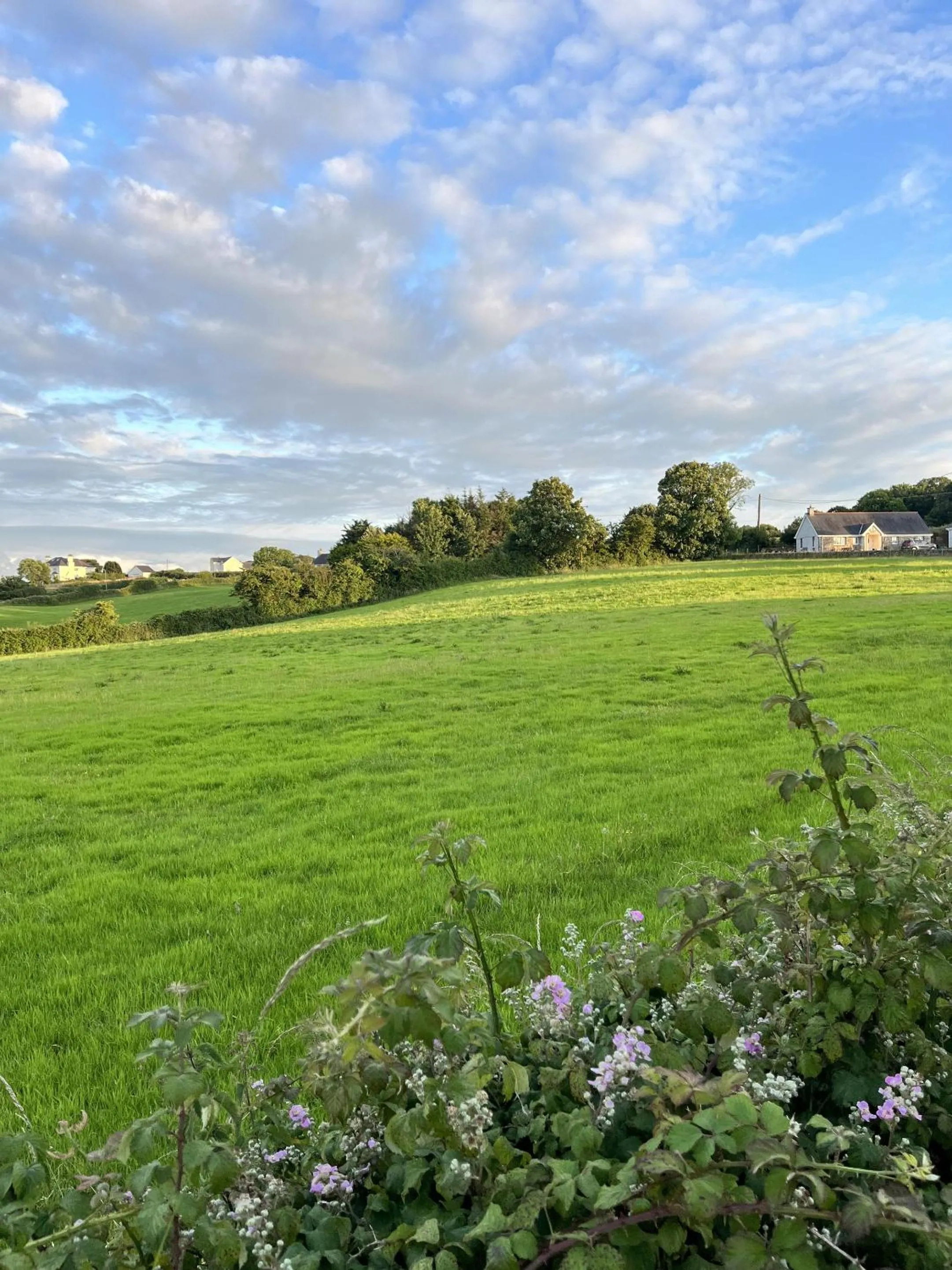 View (from property/room) in Ty Dderw Country Inn